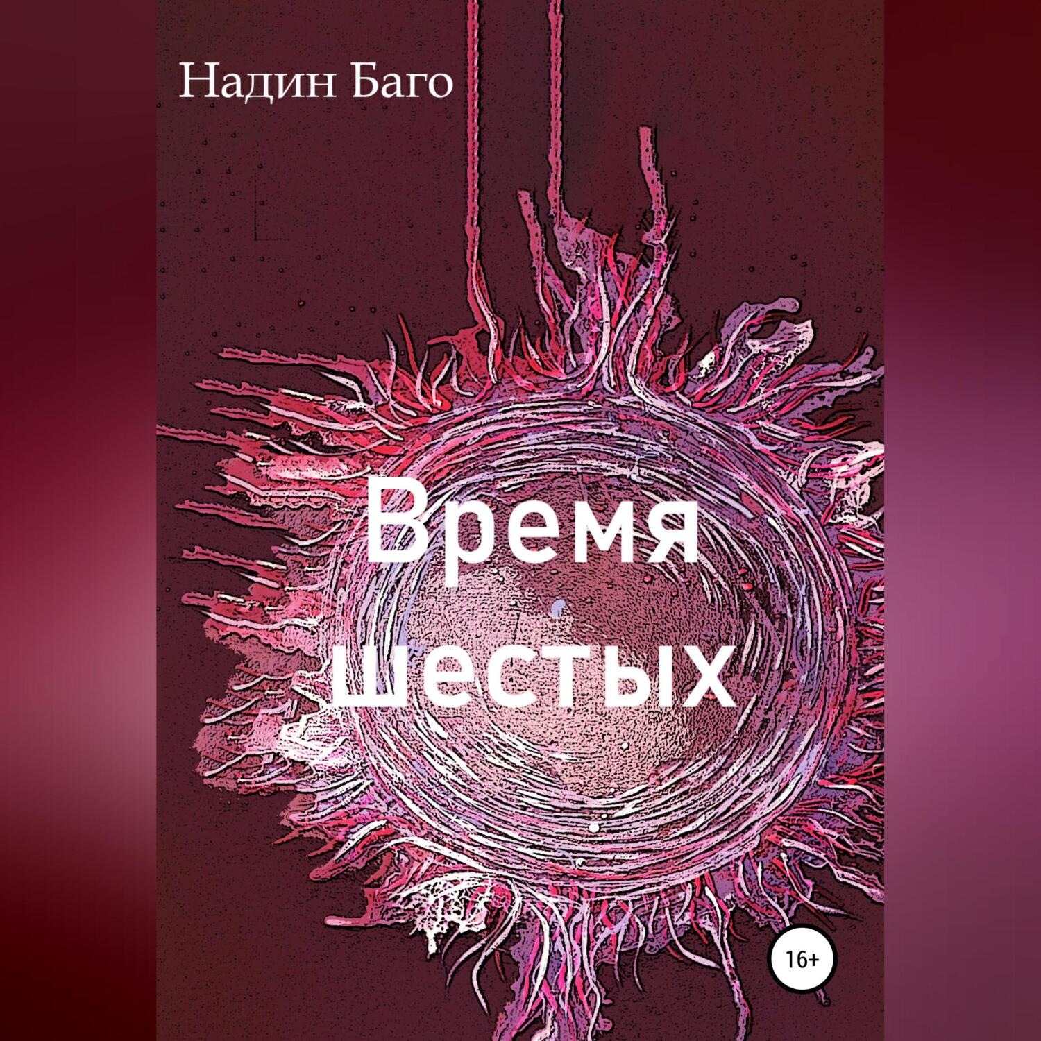 Обложка книги «Время шестых»