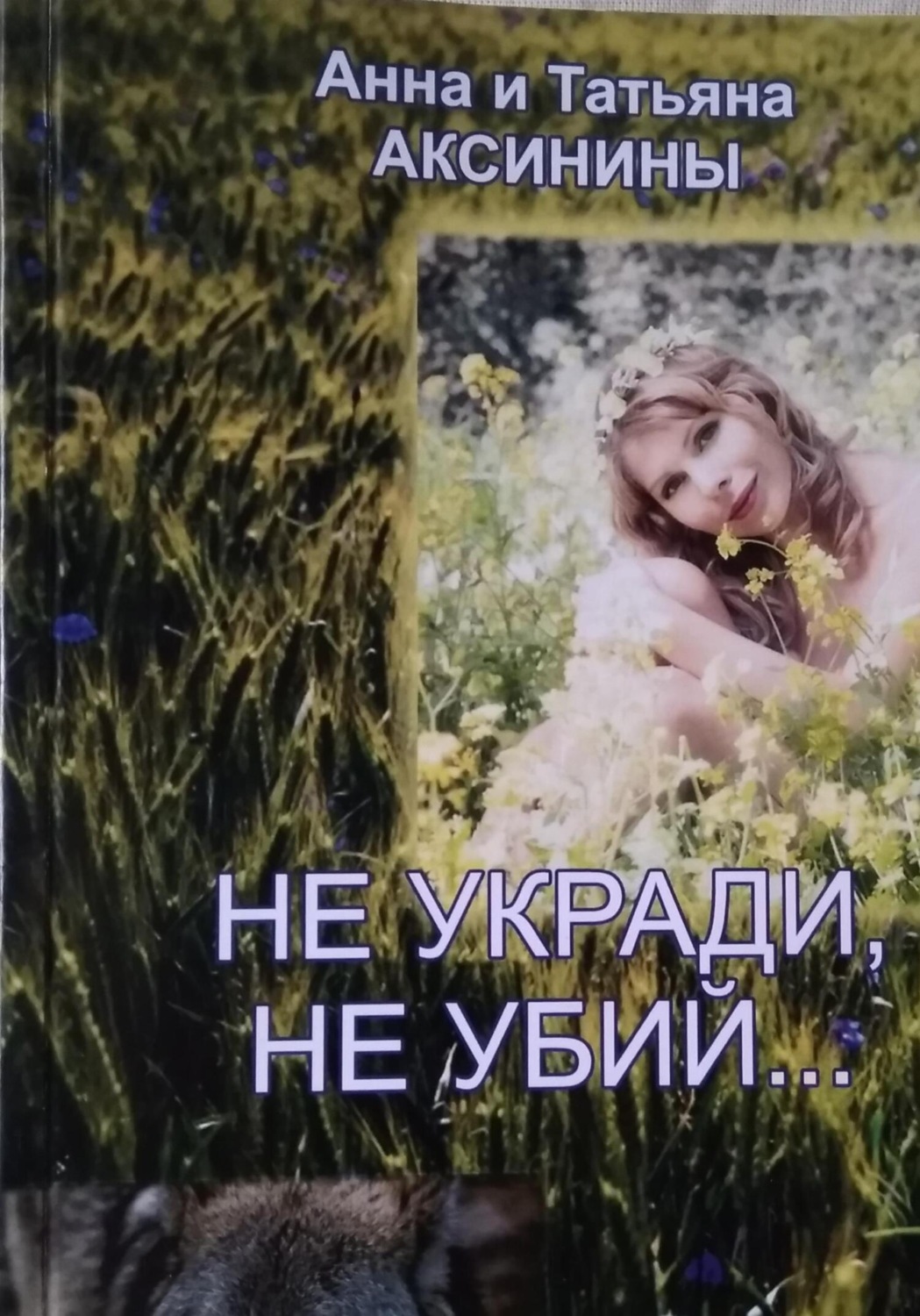 Обложка книги «Не укради, не убий»