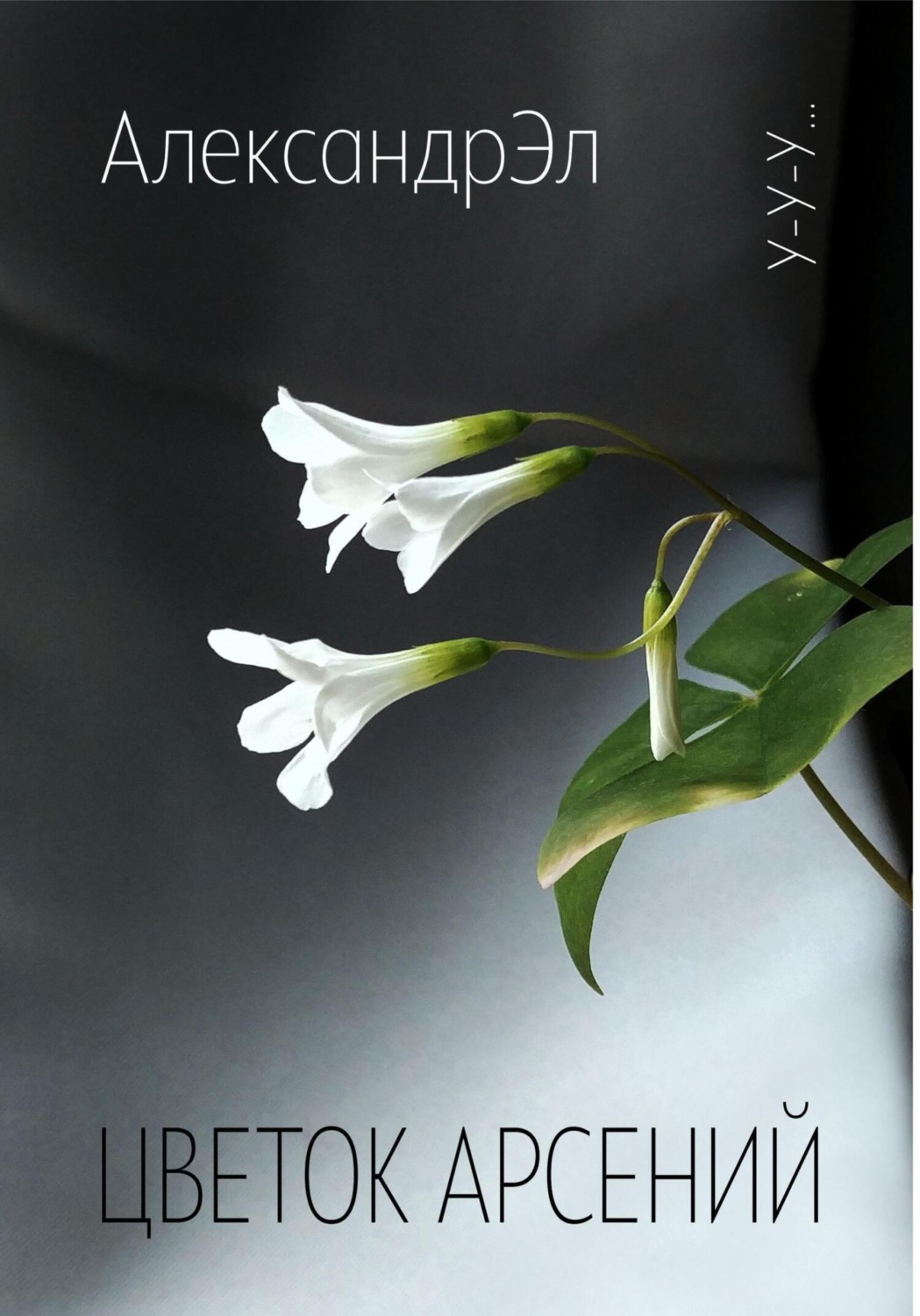 Обложка книги «Цветок Арсений»