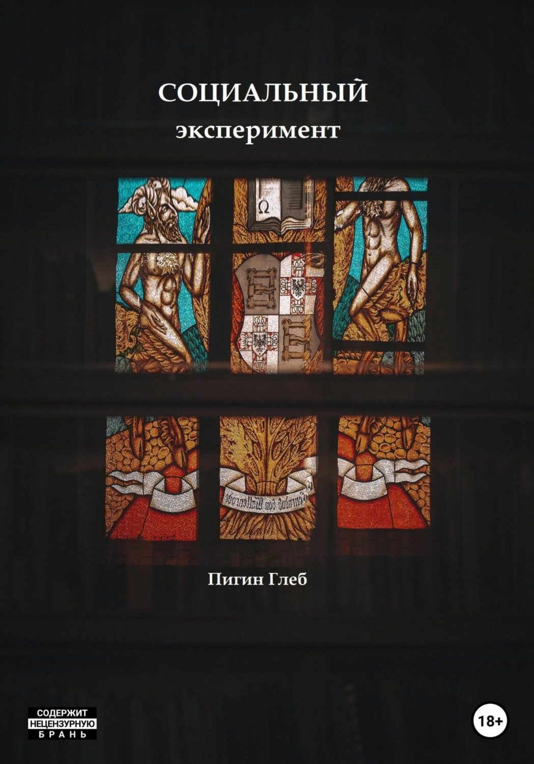 Обложка книги «Социальный эксперимент»
