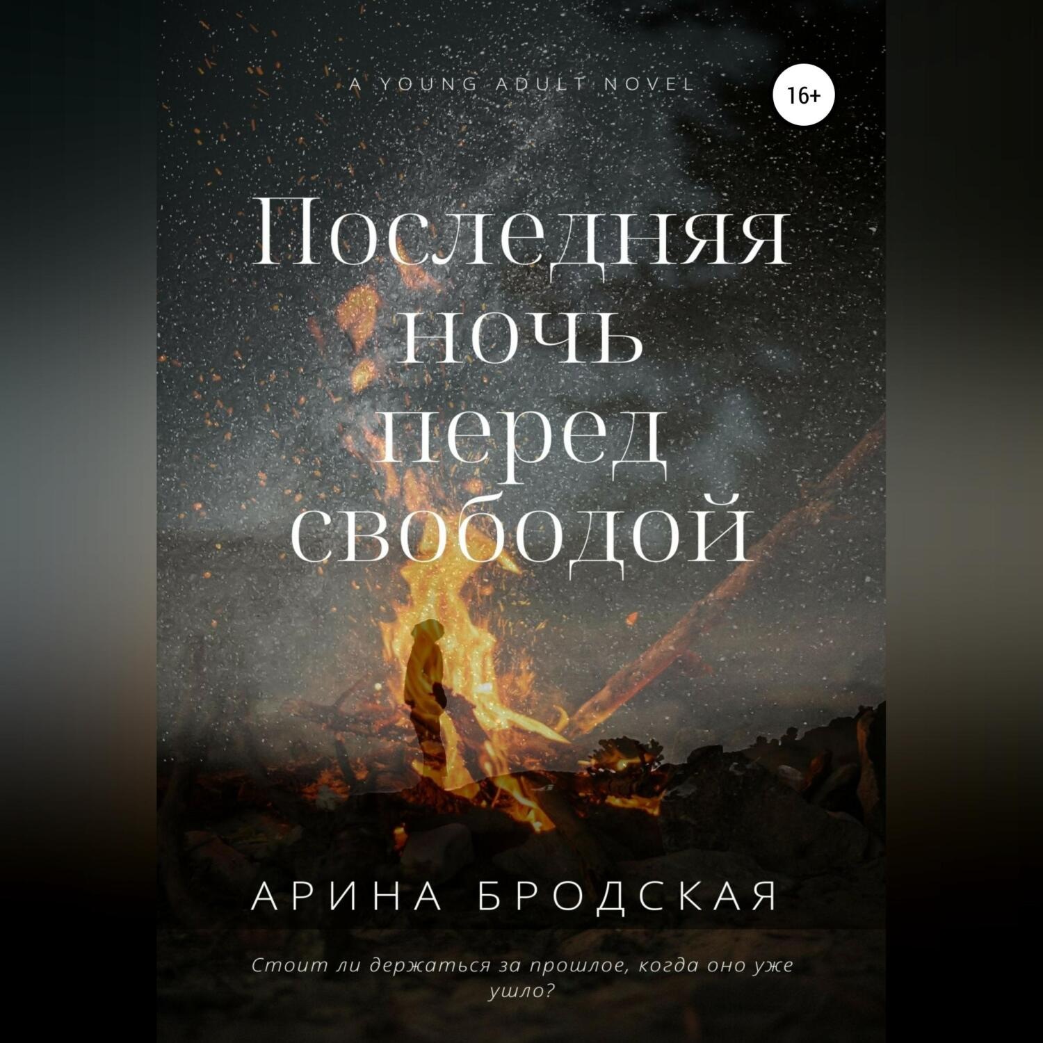 Обложка книги «Последняя ночь перед свободой»