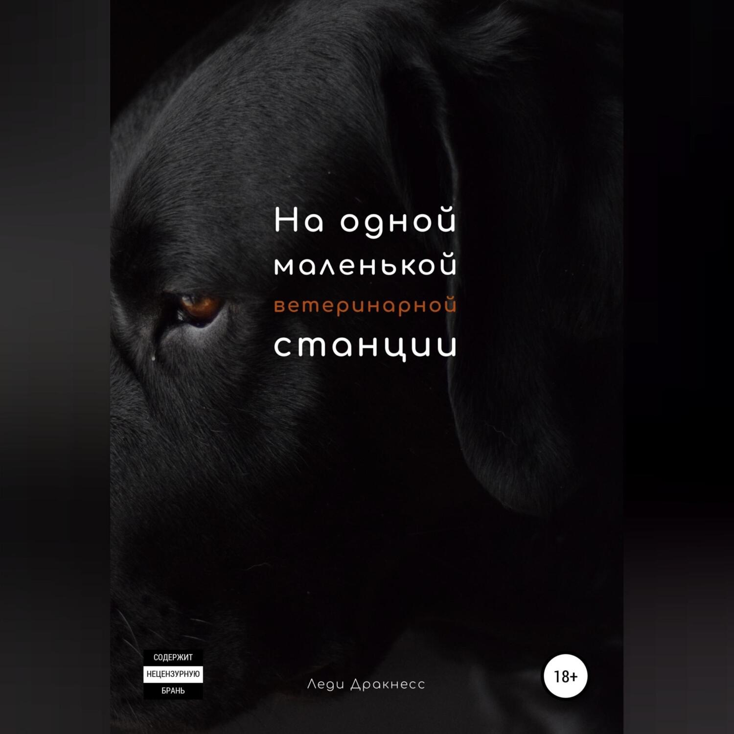 Обложка книги «На одной маленькой ветеринарной станции»