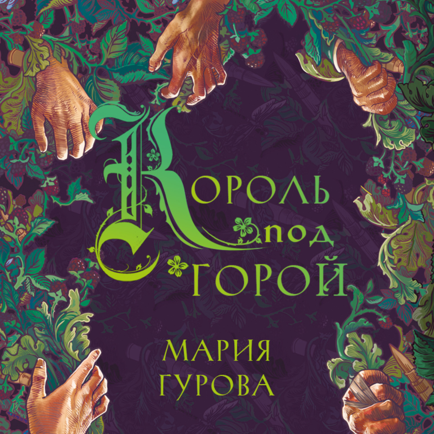 Обложка книги «Король под горой»
