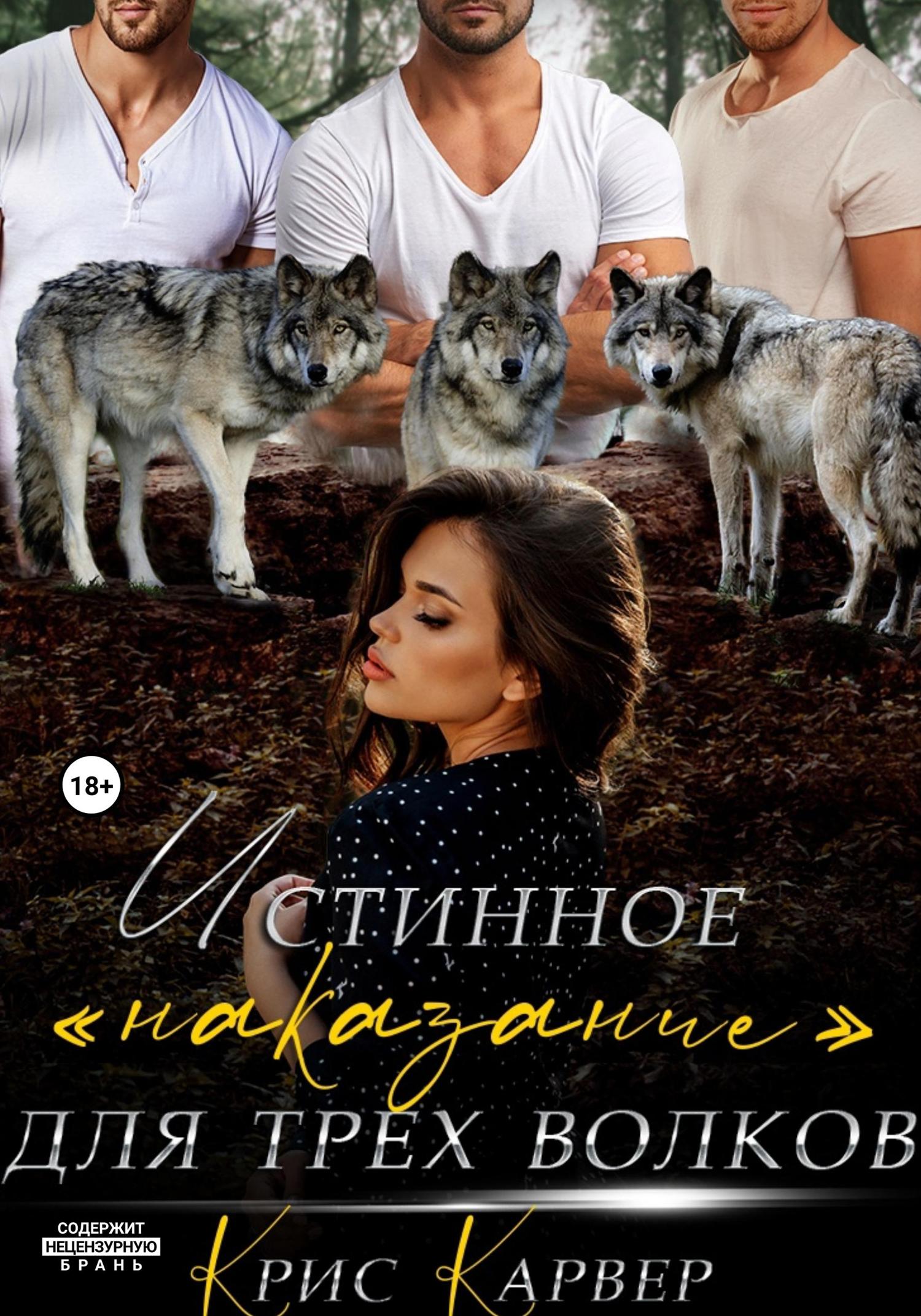 Обложка книги «Истинное «наказание» для трех волков»