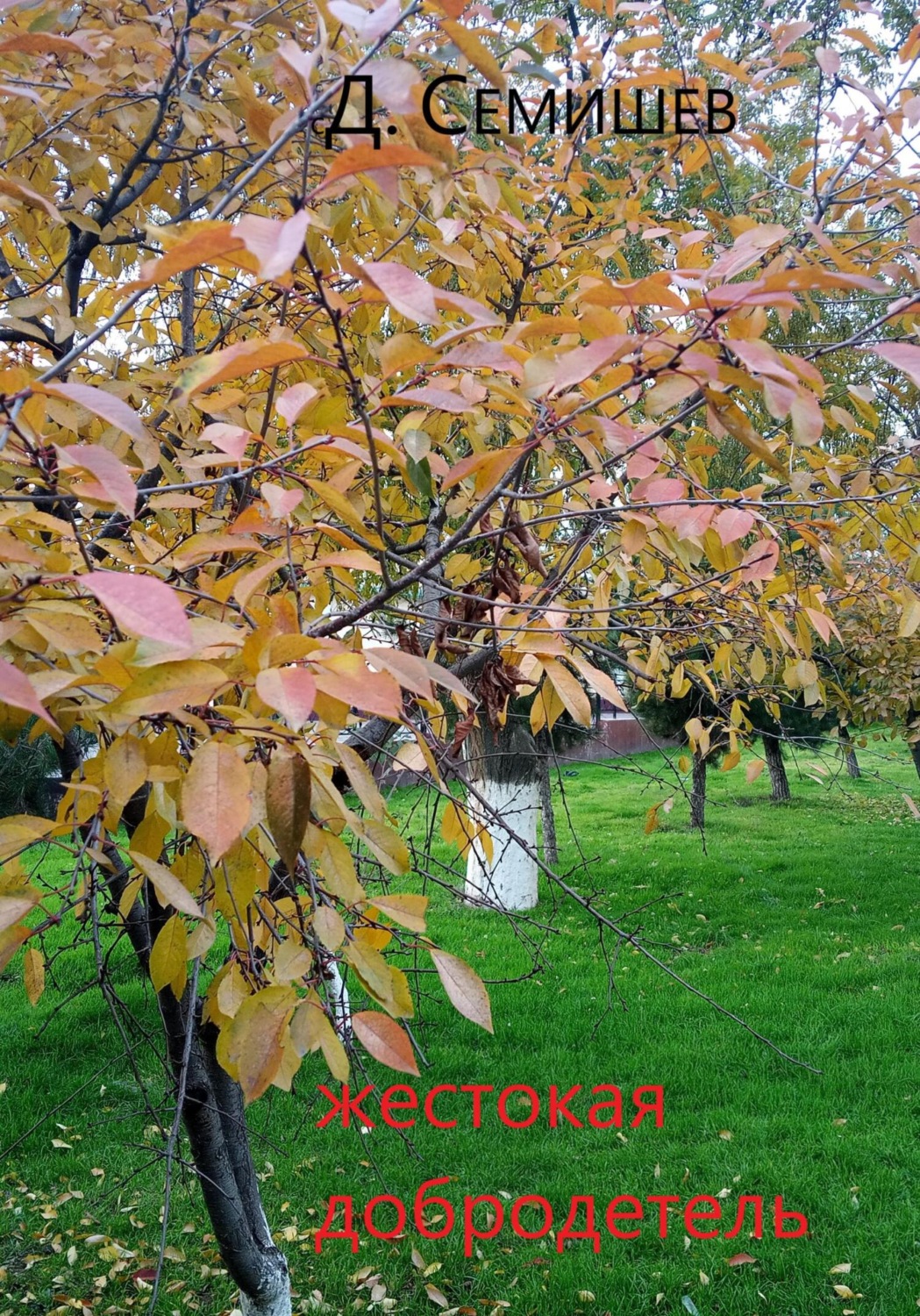 Обложка книги «Жестокая добродетель»