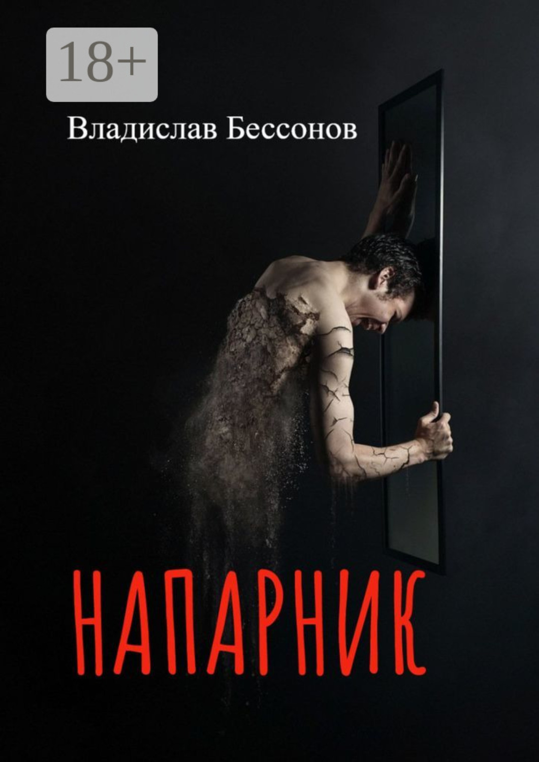 Обложка книги «Напарник»