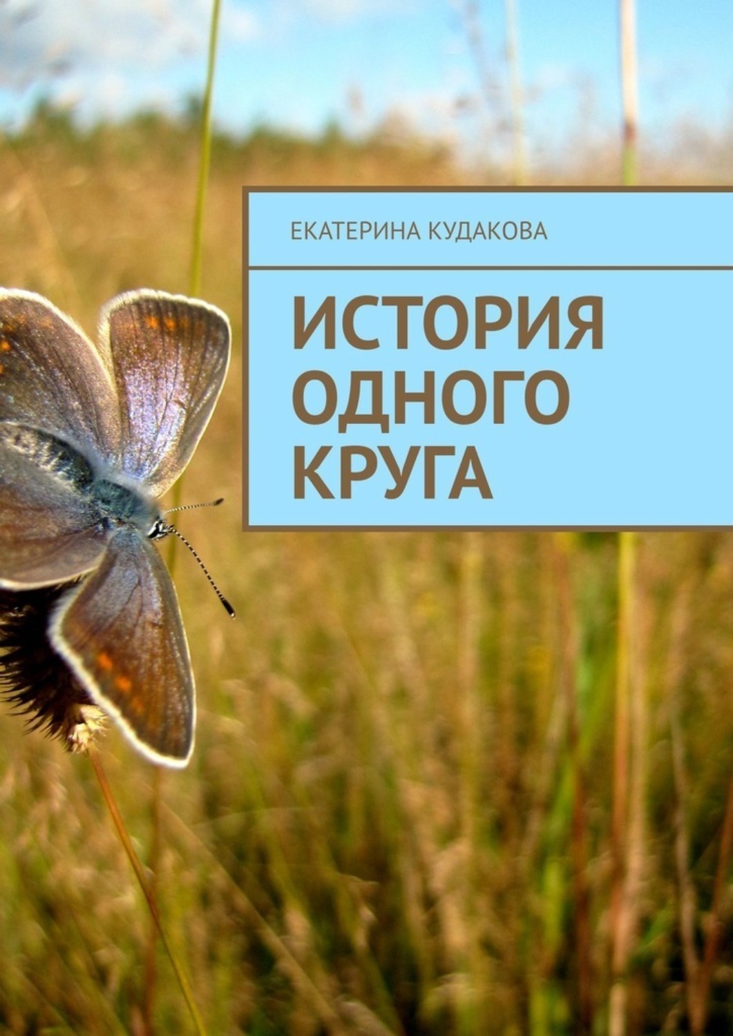 Обложка книги «История одного круга»