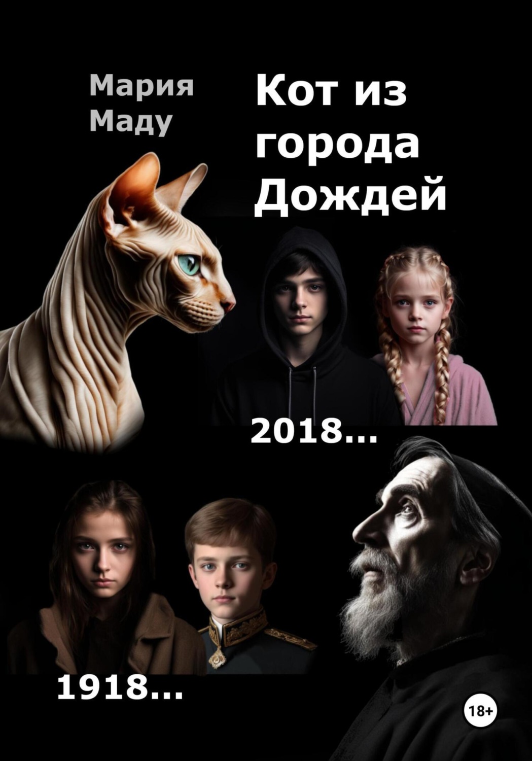 Обложка книги «Кот из Города дождей»