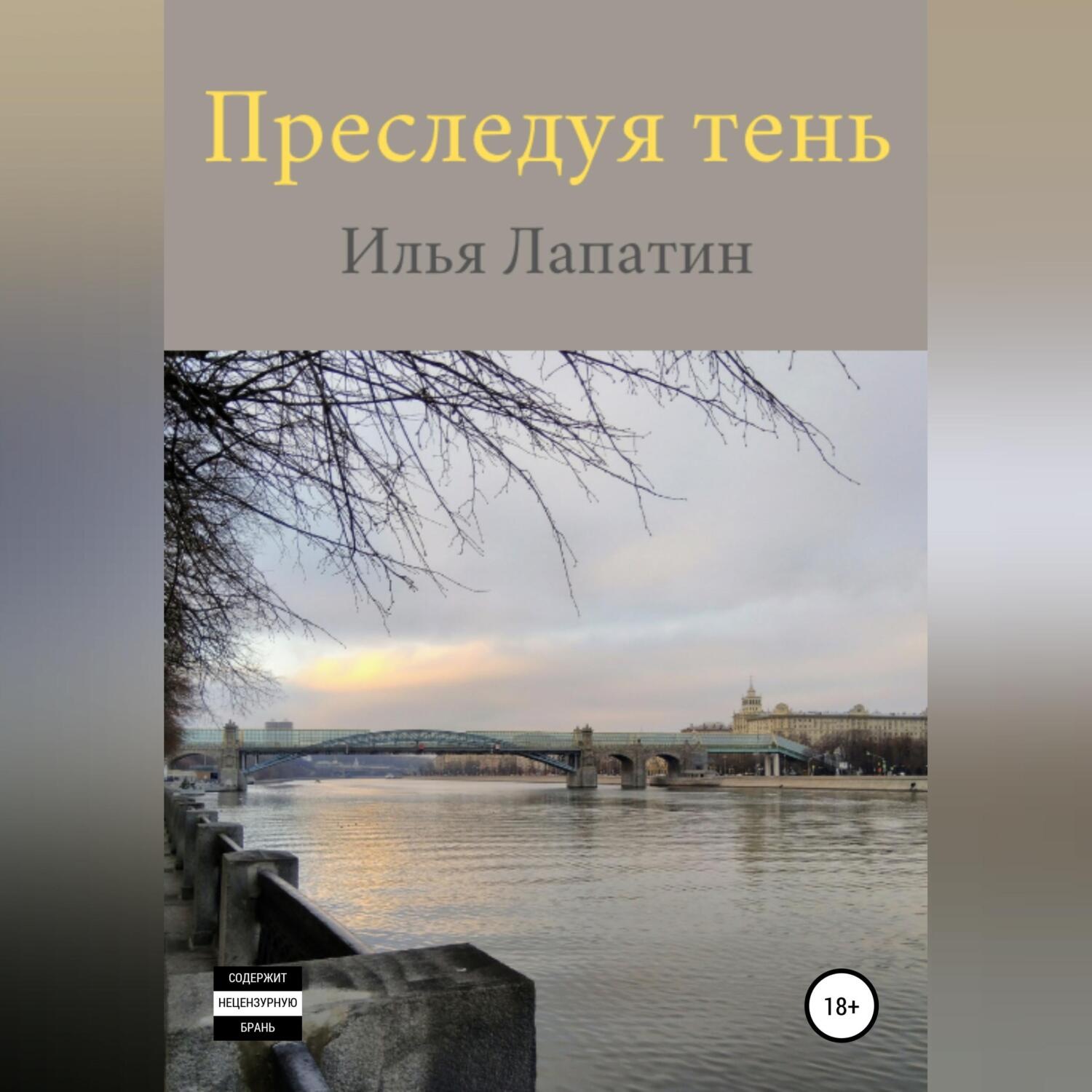 Обложка книги «Преследуя тень»