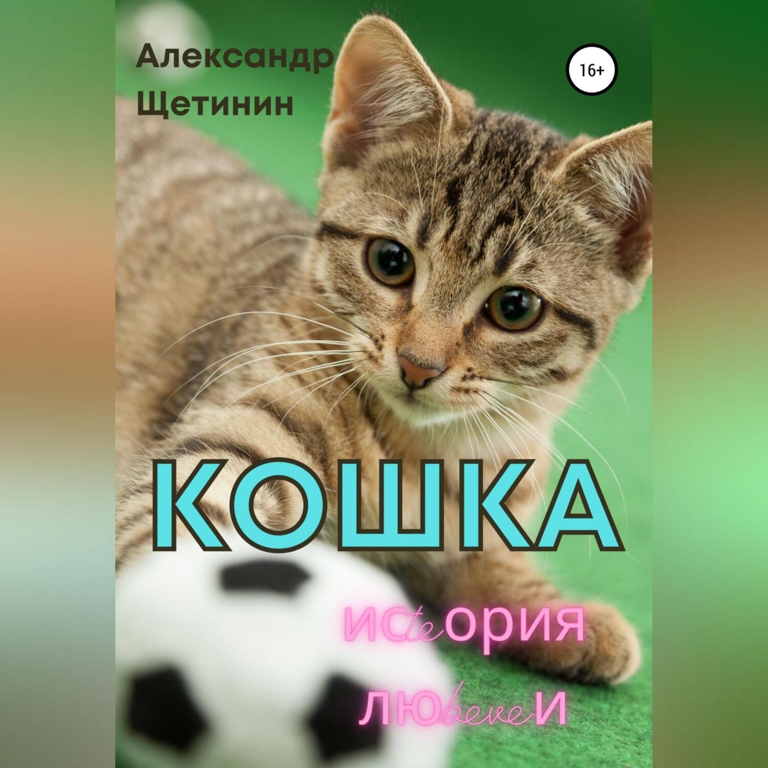 Обложка книги «Кошка. История любви»