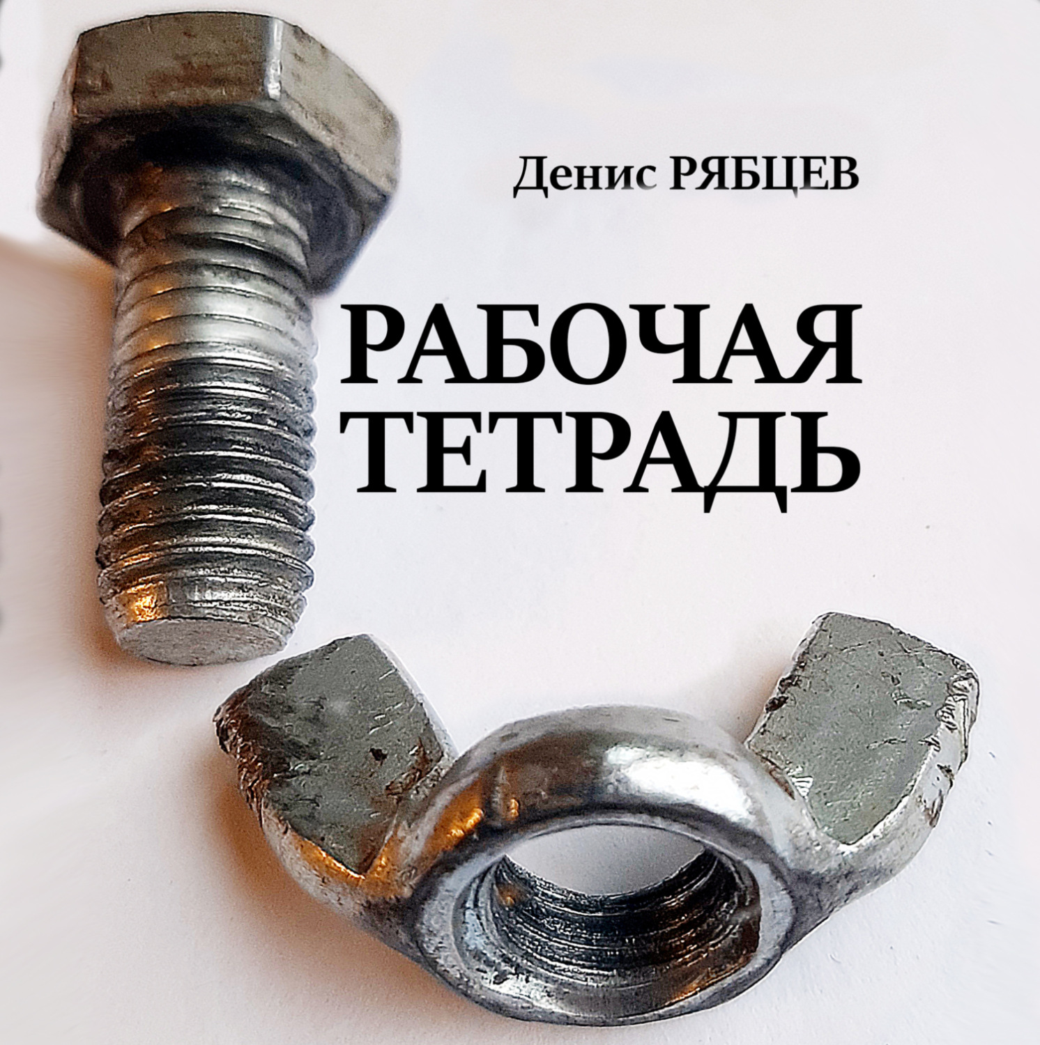 Обложка книги «Рабочая тетрадь»