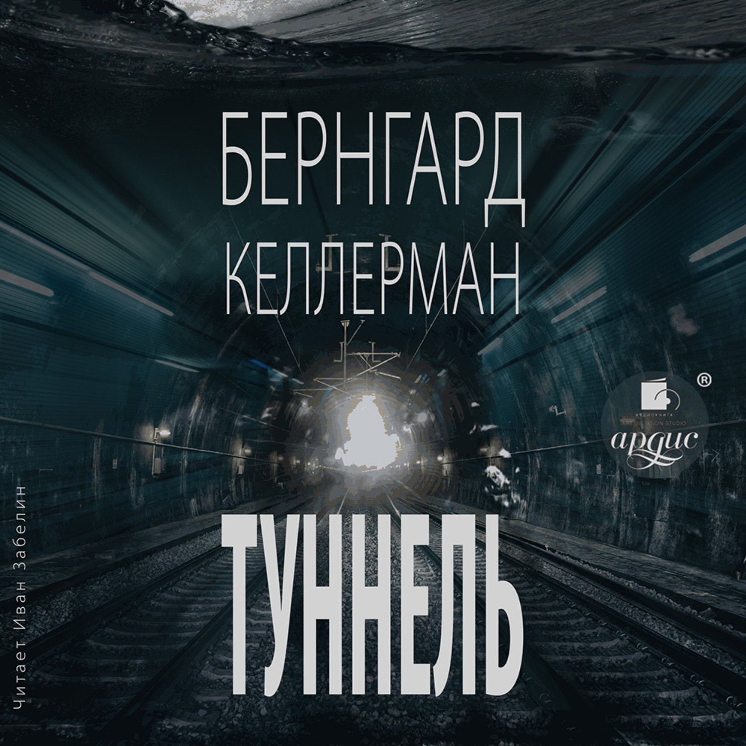 Обложка книги «Туннель»