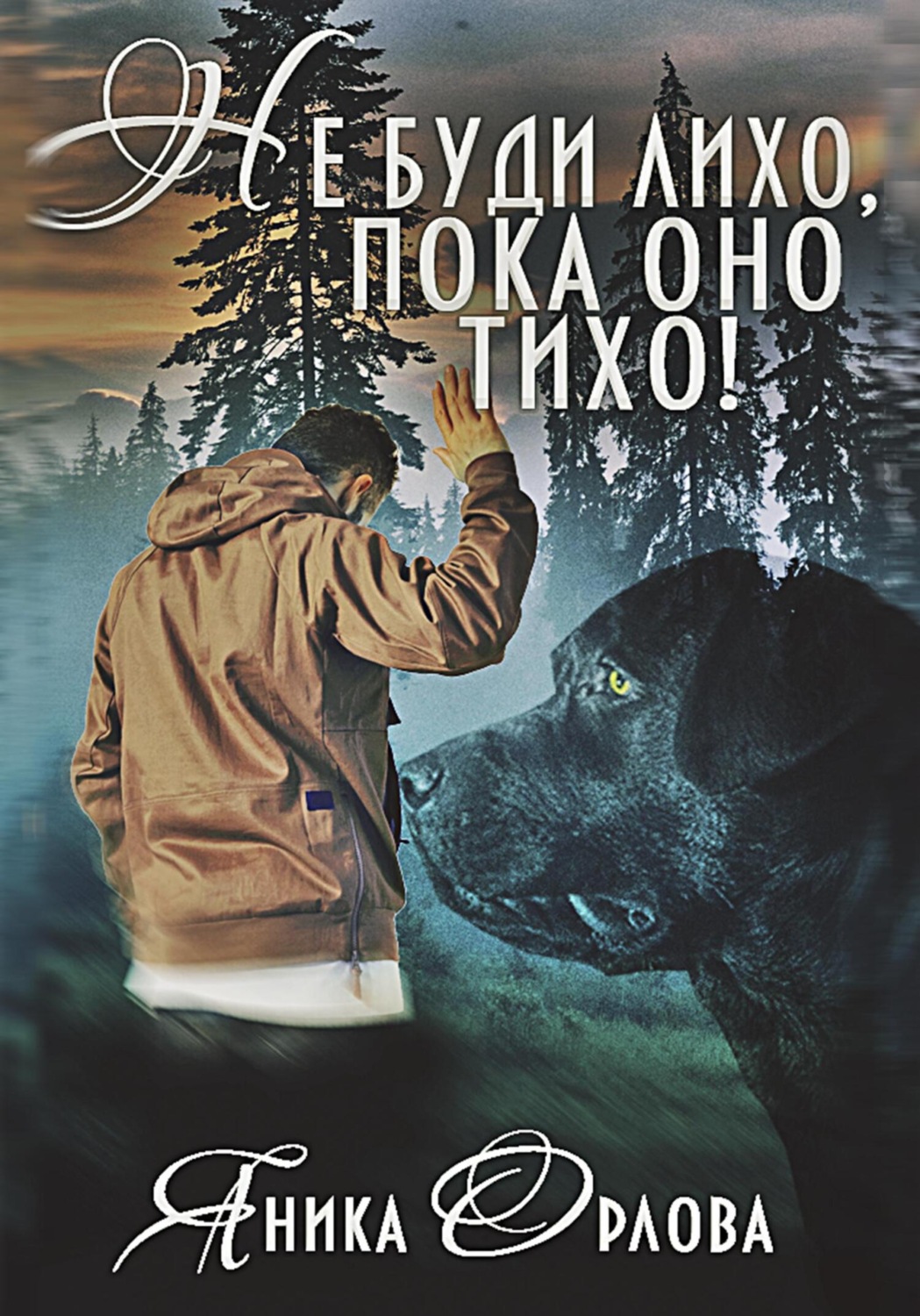 Обложка книги «Не буди лихо, пока оно тихо!»