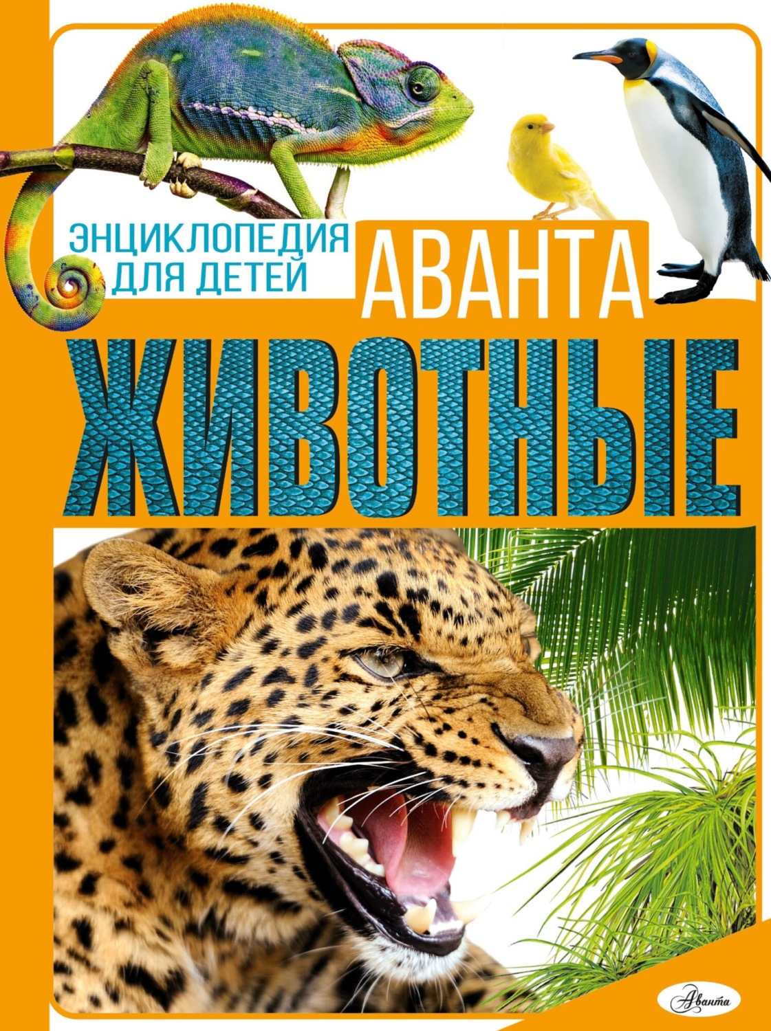 Обложка книги «Животные»