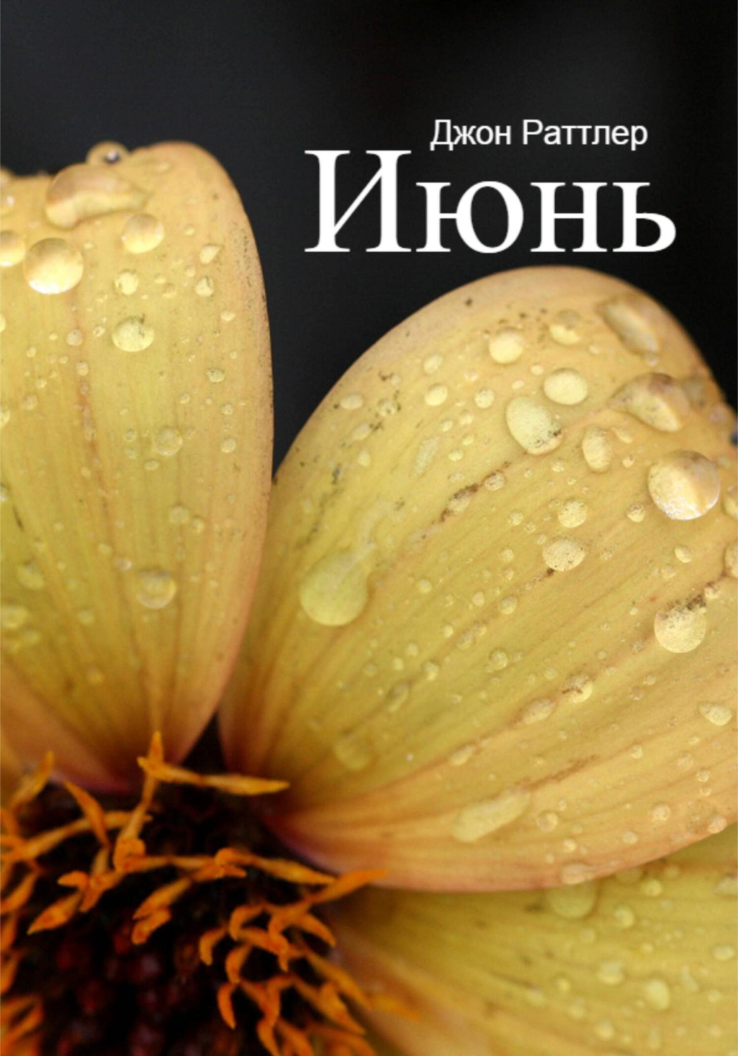 Обложка книги «Июнь»