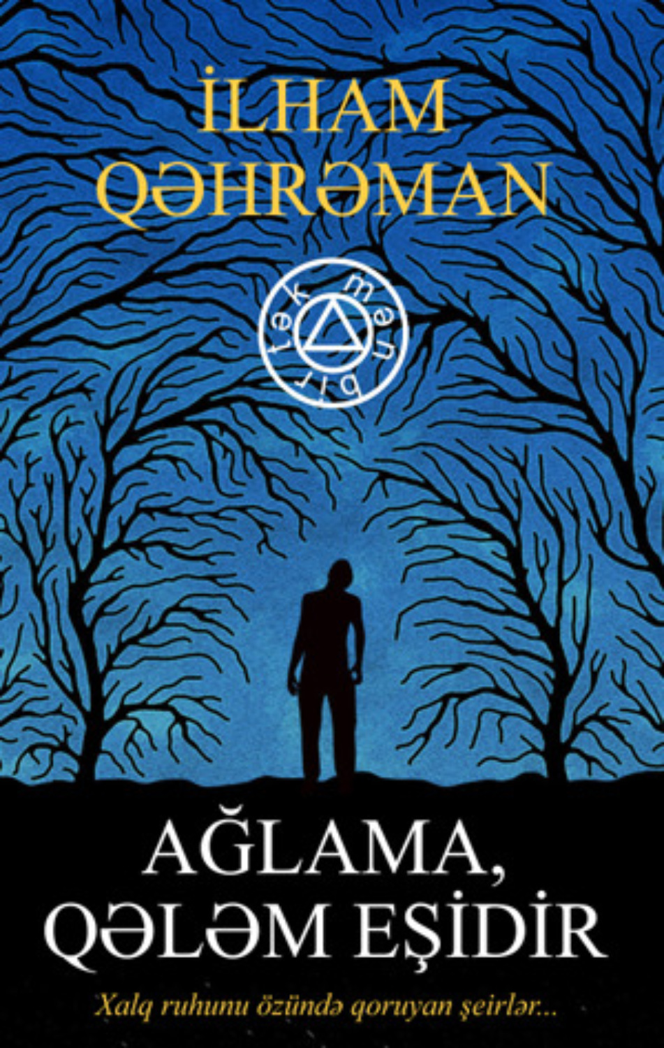 Обложка книги «Ağlama, qələm eşidir»