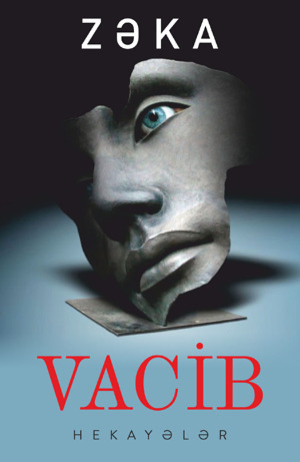 Обложка книги «Vacib»