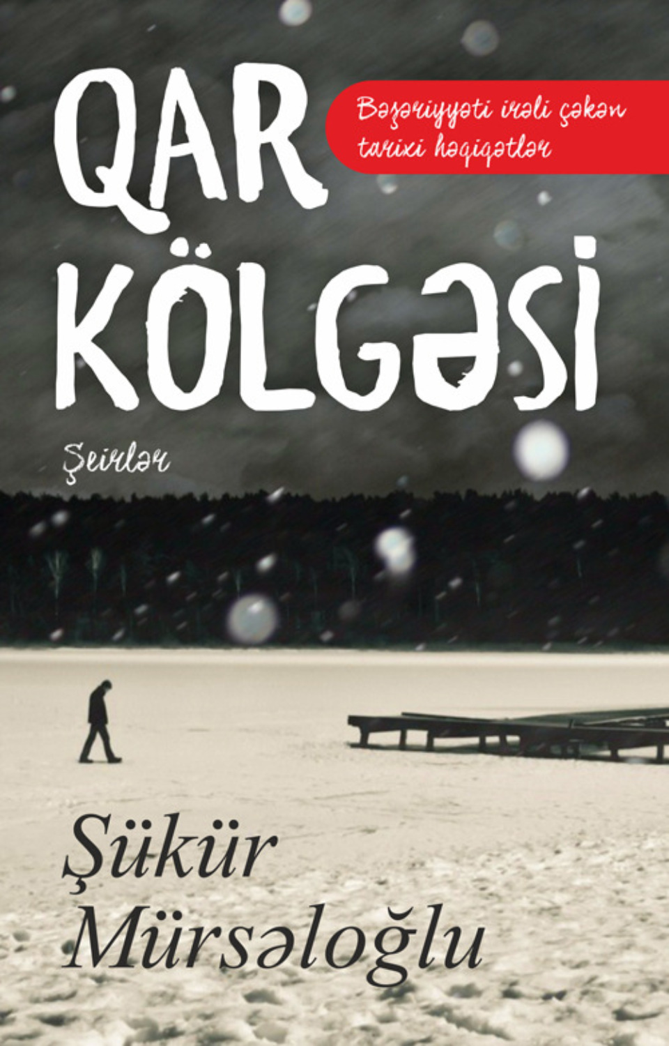 Обложка книги «Qar kölgəsi»