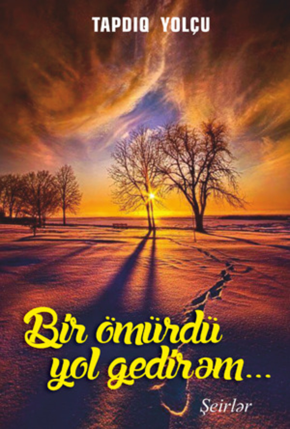 Обложка книги «Bir ömürdü yol gedirəm...»