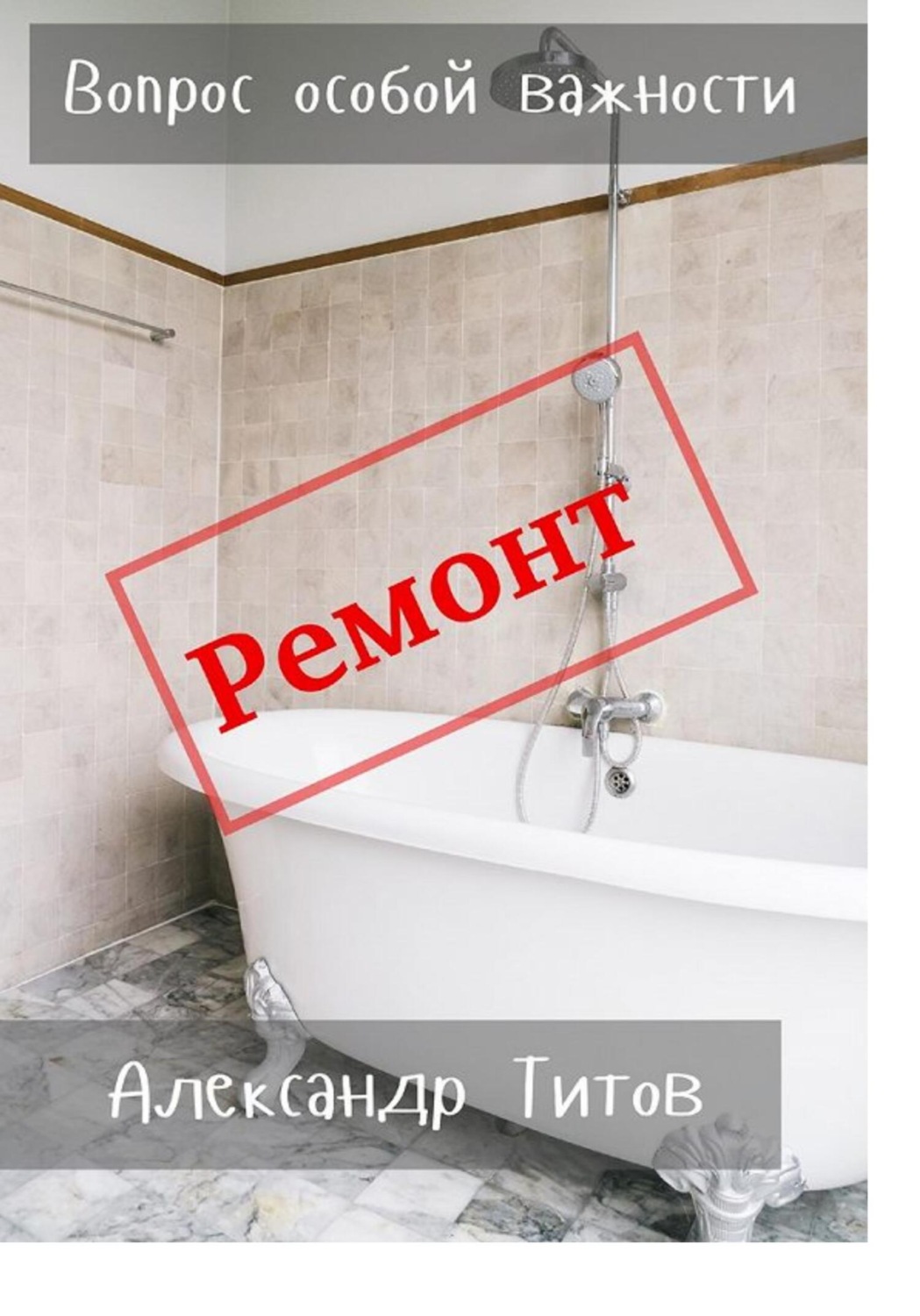 Обложка книги «Вопрос особой важности»