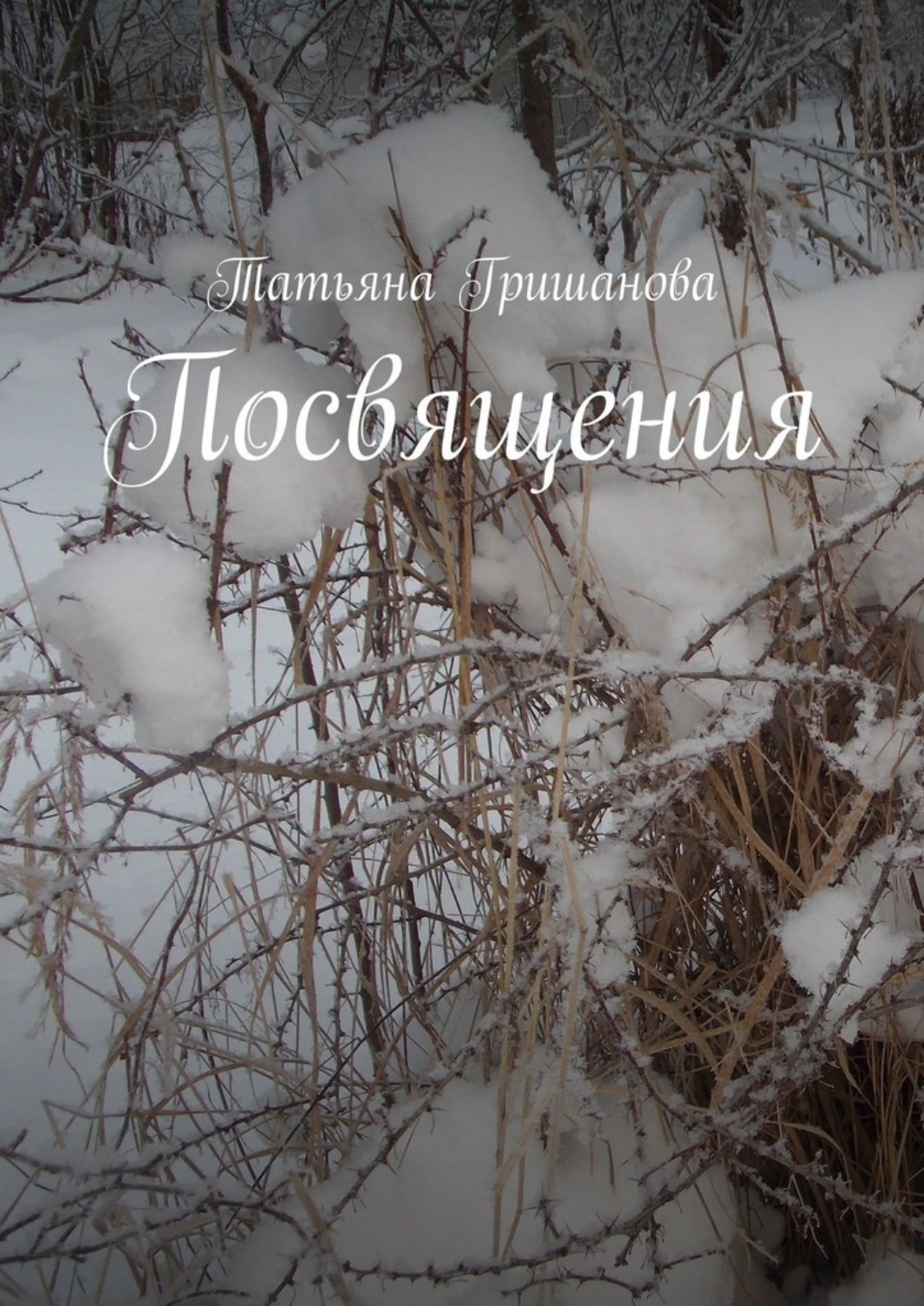 Обложка книги «Посвящения»