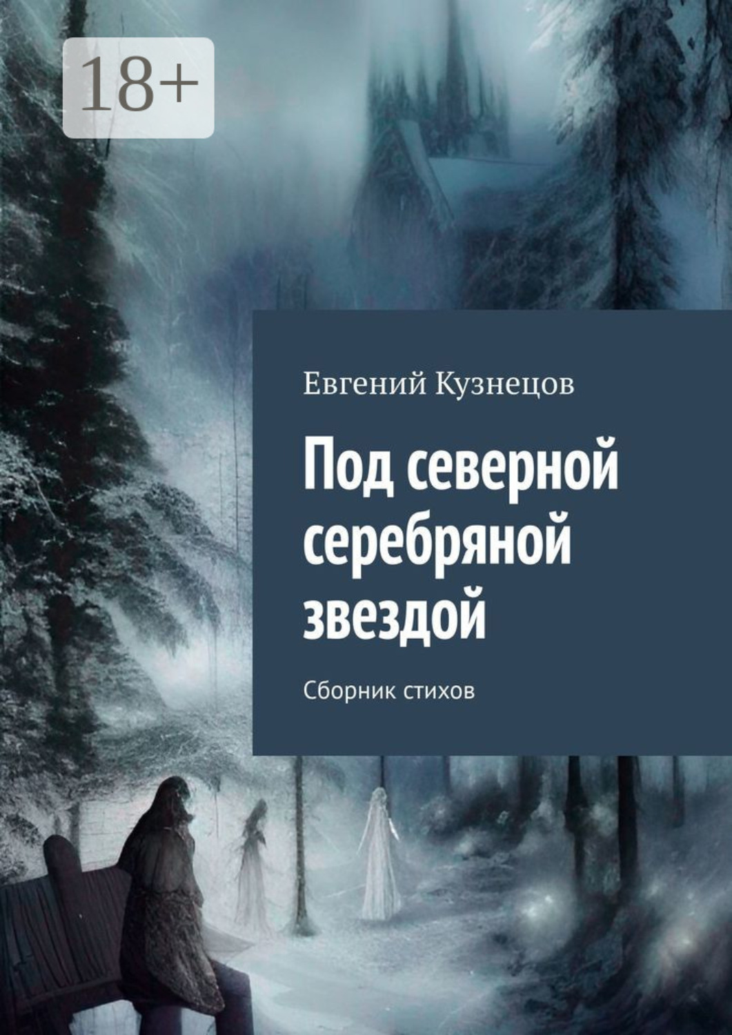 Обложка книги «Под северной серебряной звездой. Сборник стихов»