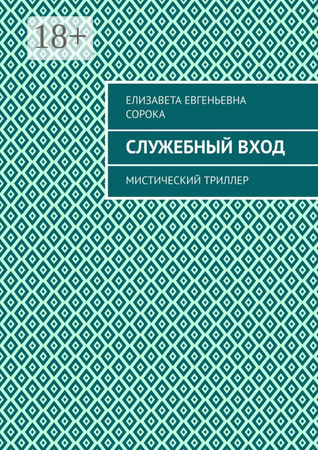 Обложка книги «Служебный вход. Мистический триллер»