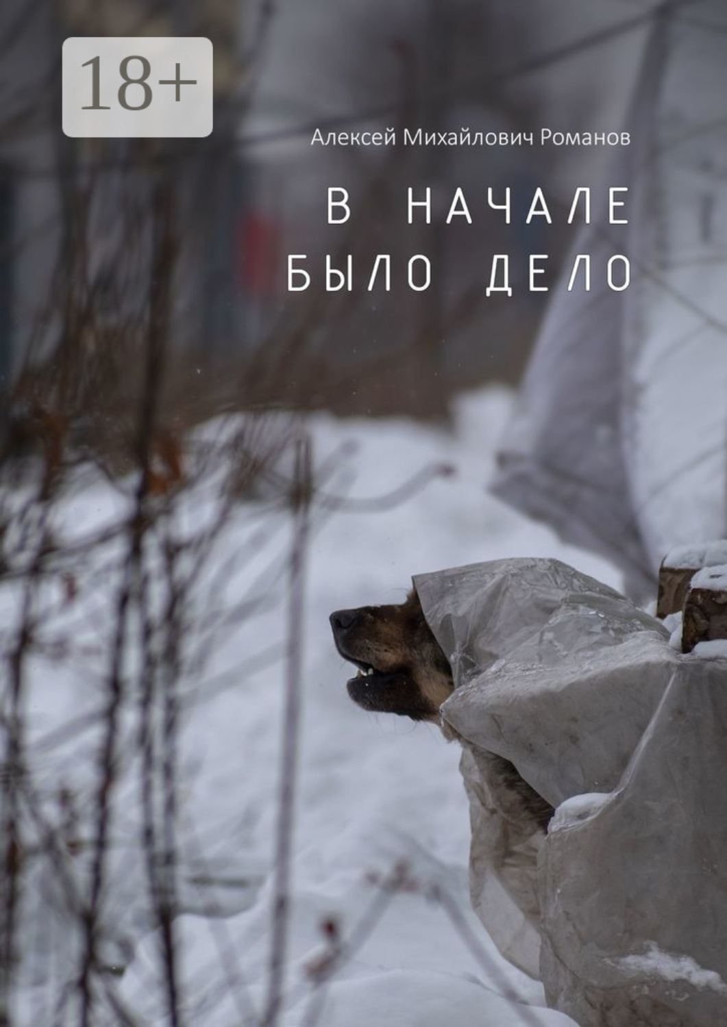 Обложка книги «В начале было дело»
