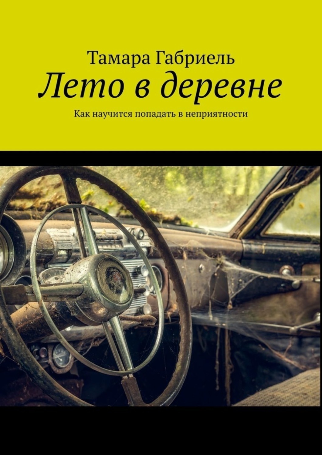 Обложка книги «Лето в деревне. Как научится попадать в неприятности»