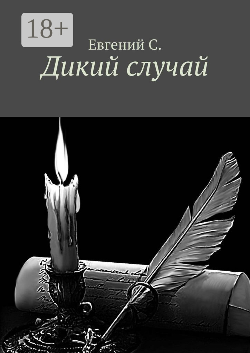 Обложка книги «Дикий случай»