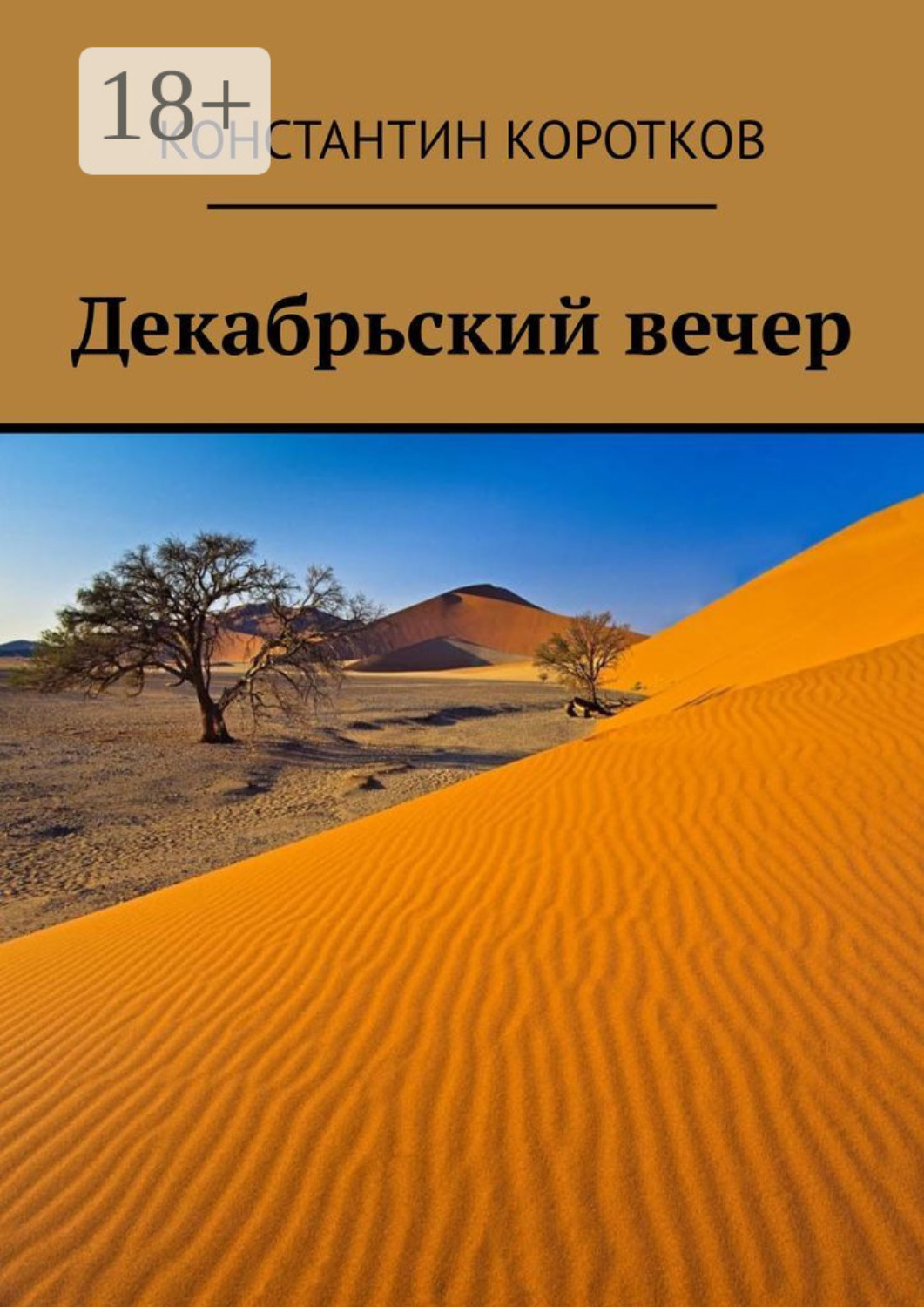 Обложка книги «Декабрьский вечер»