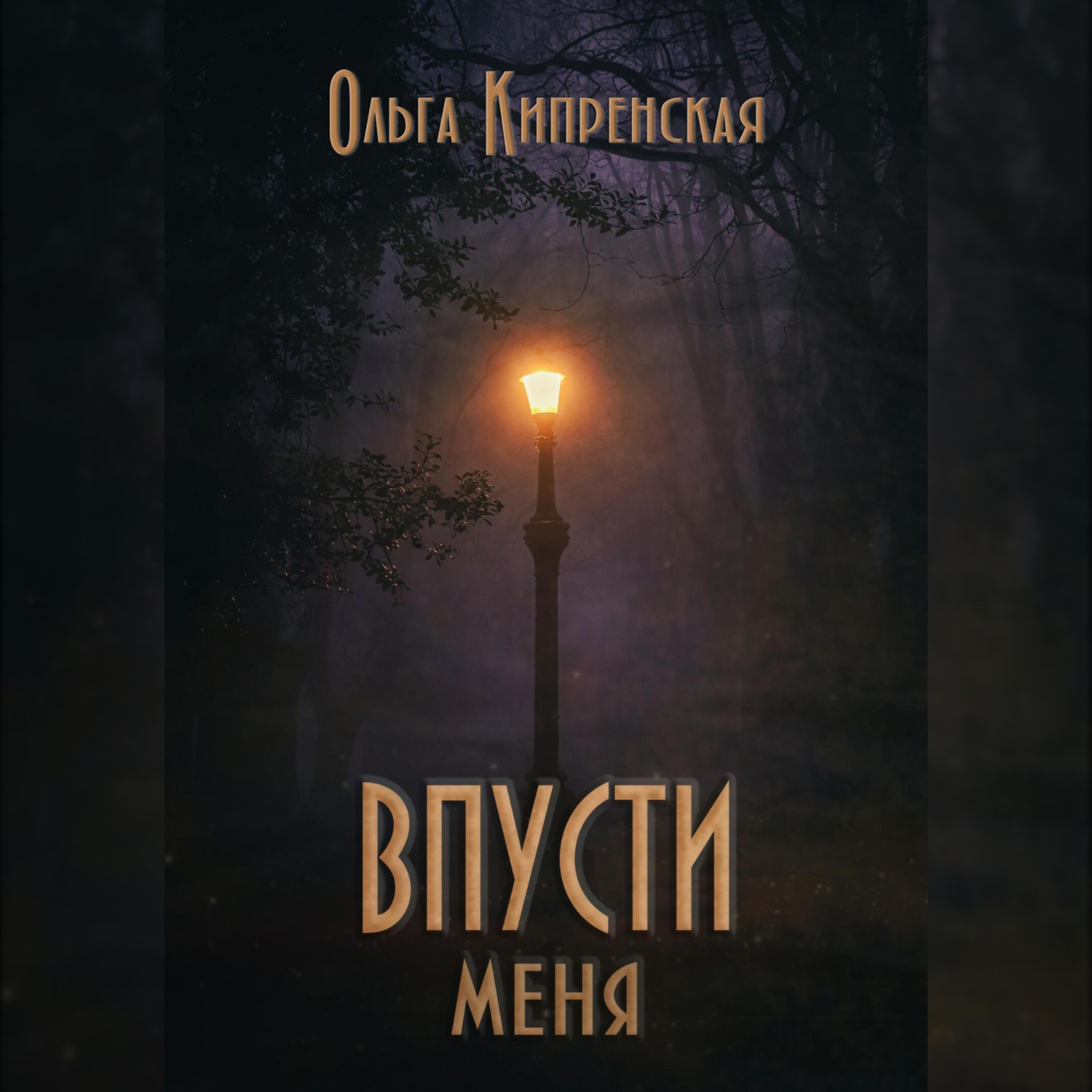 Обложка книги «Впусти меня»