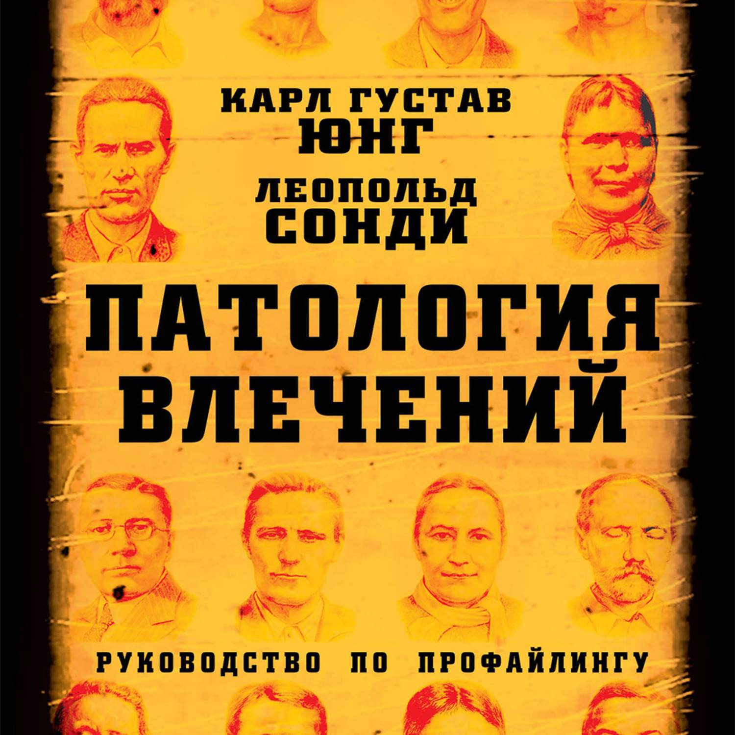 Обложка книги «Патология влечений. Руководство по профайлингу»