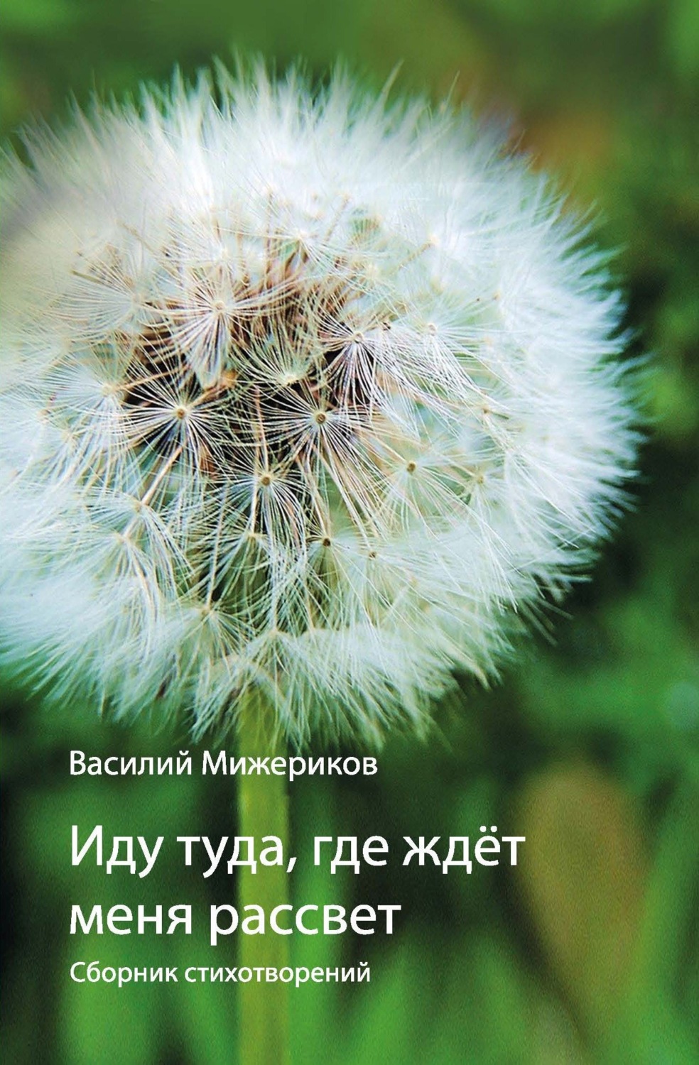 Обложка книги «Иду туда, где ждет меня рассвет»