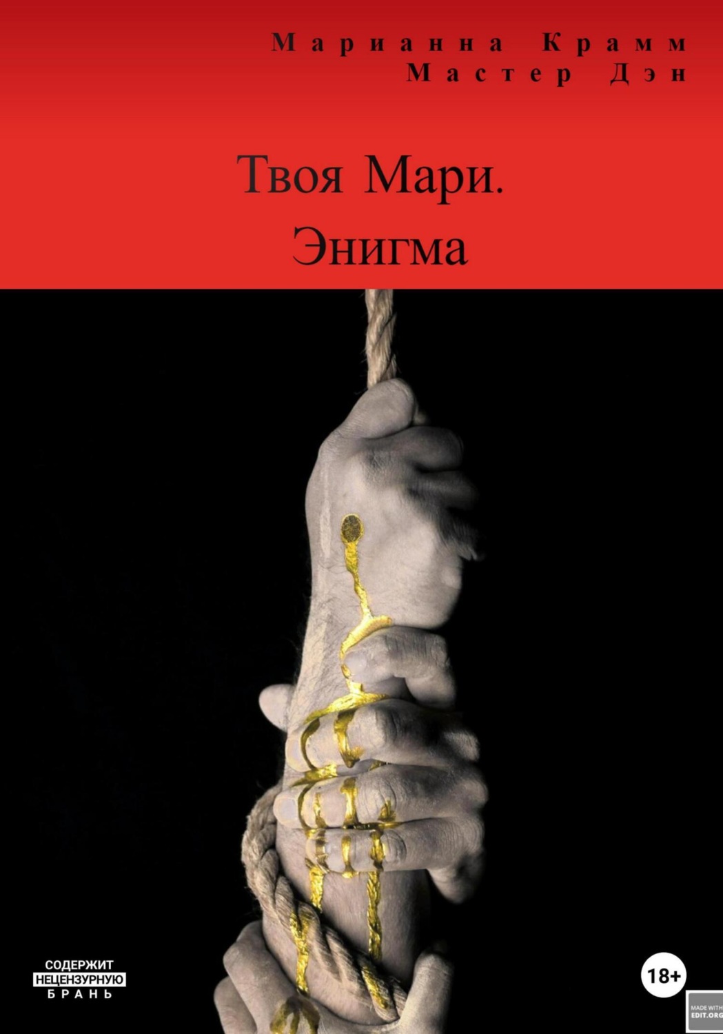 Обложка книги «Твоя Мари. Энигма»
