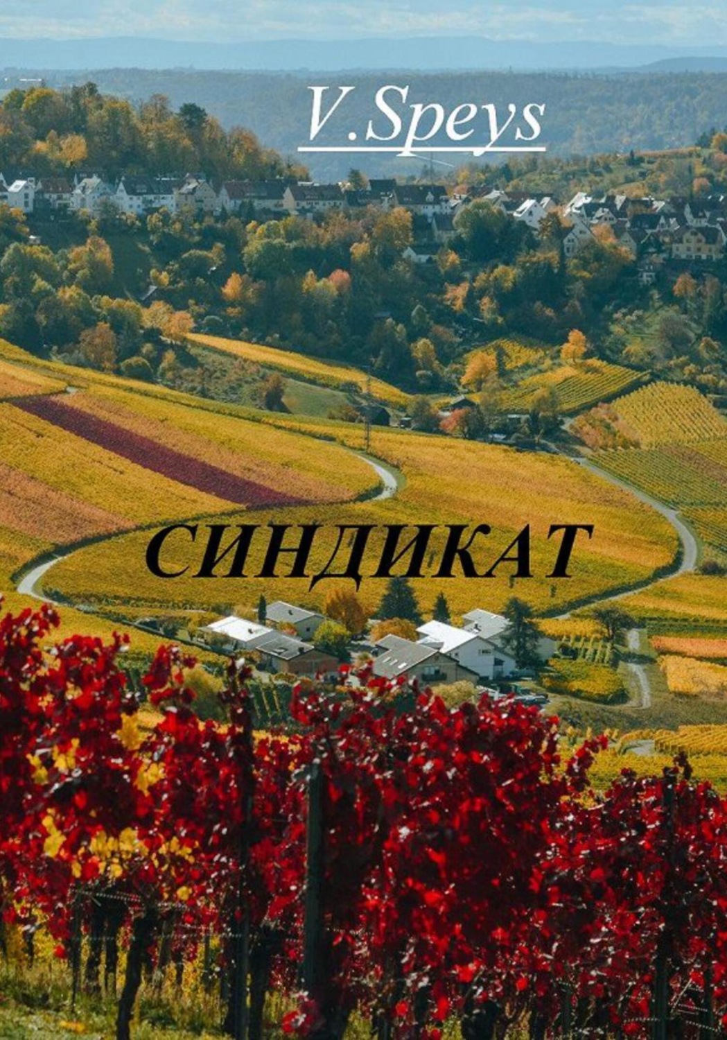 Обложка книги «Синдикат»