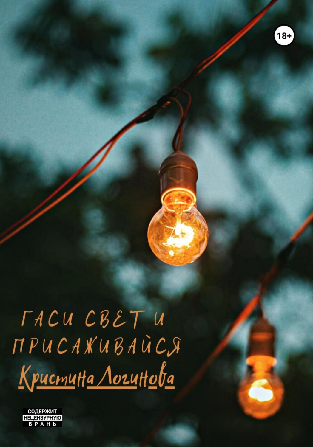 Обложка книги «Гаси свет и присаживайся»