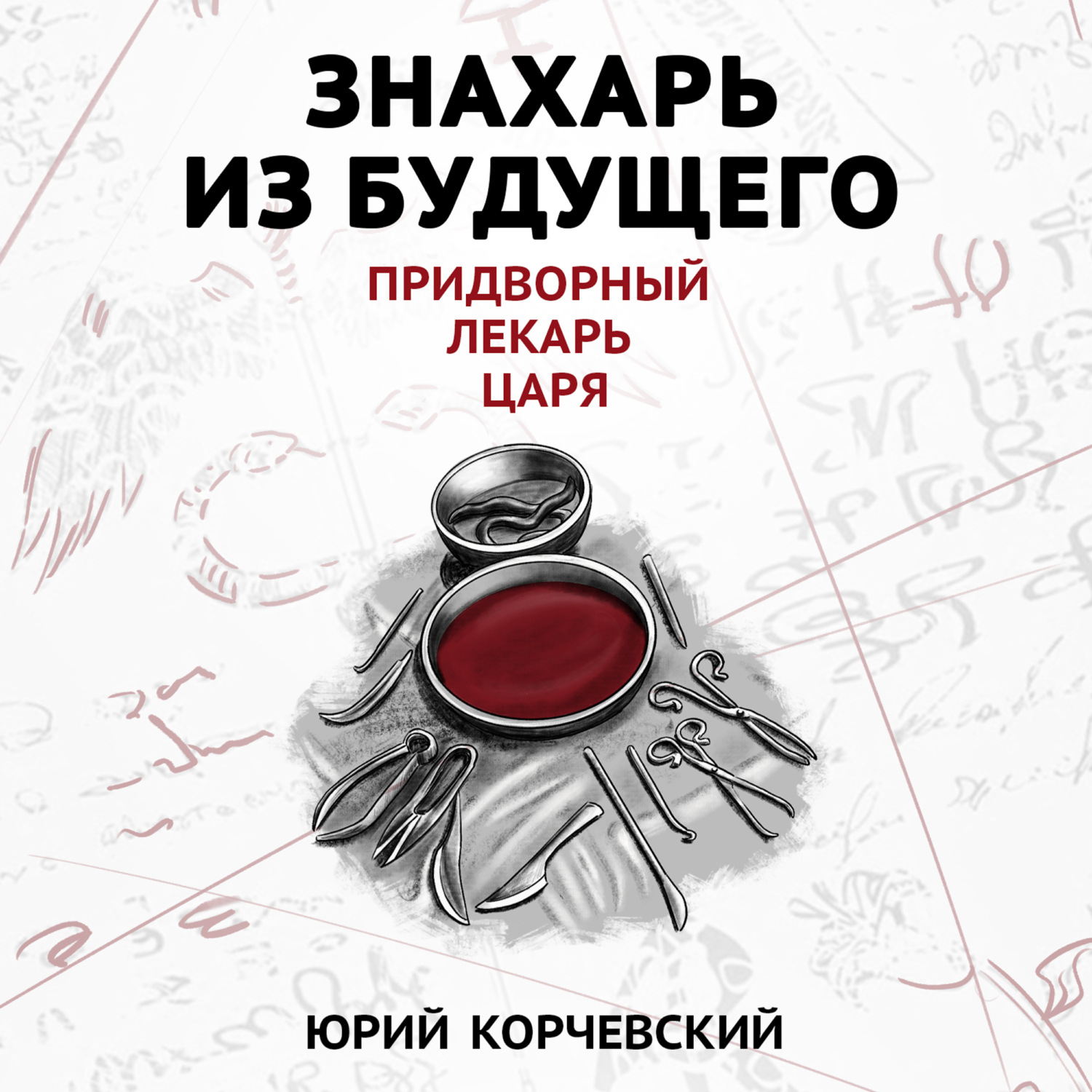 Обложка книги «Знахарь из будущего. Придворный лекарь царя»