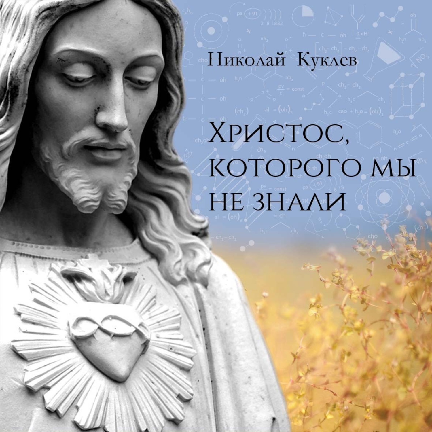 Обложка книги «Христос, Которого мы не знали»