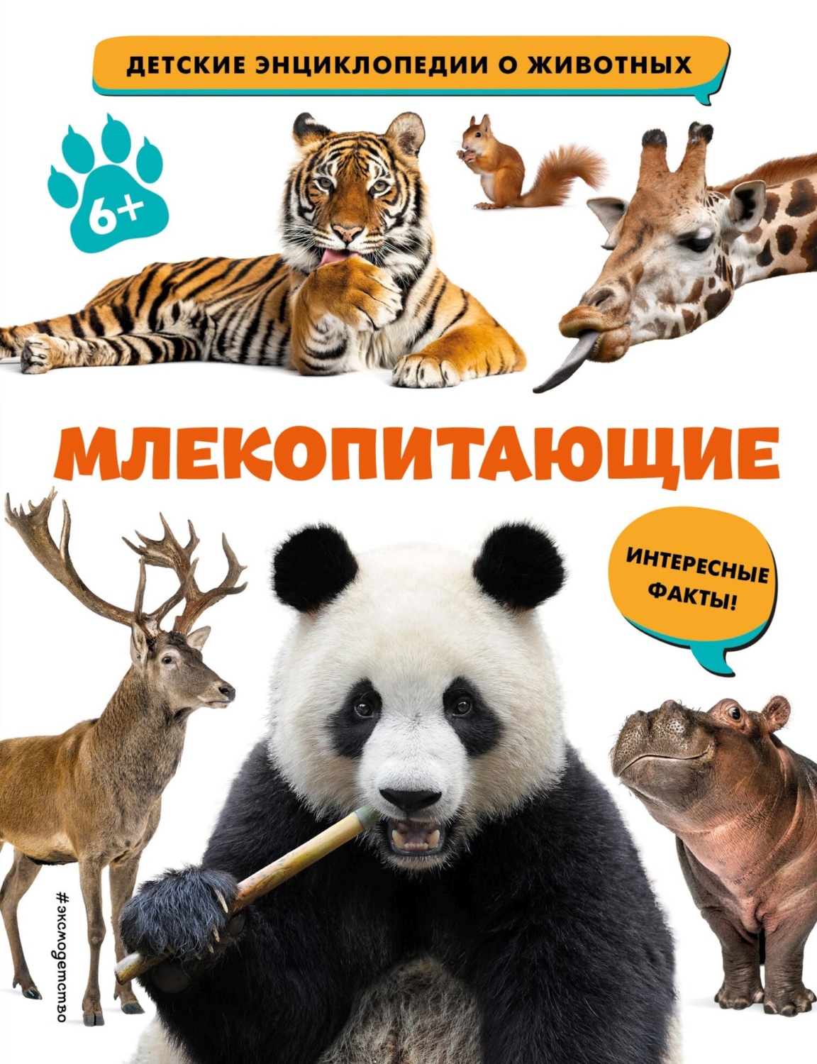 Обложка книги «Млекопитающие»