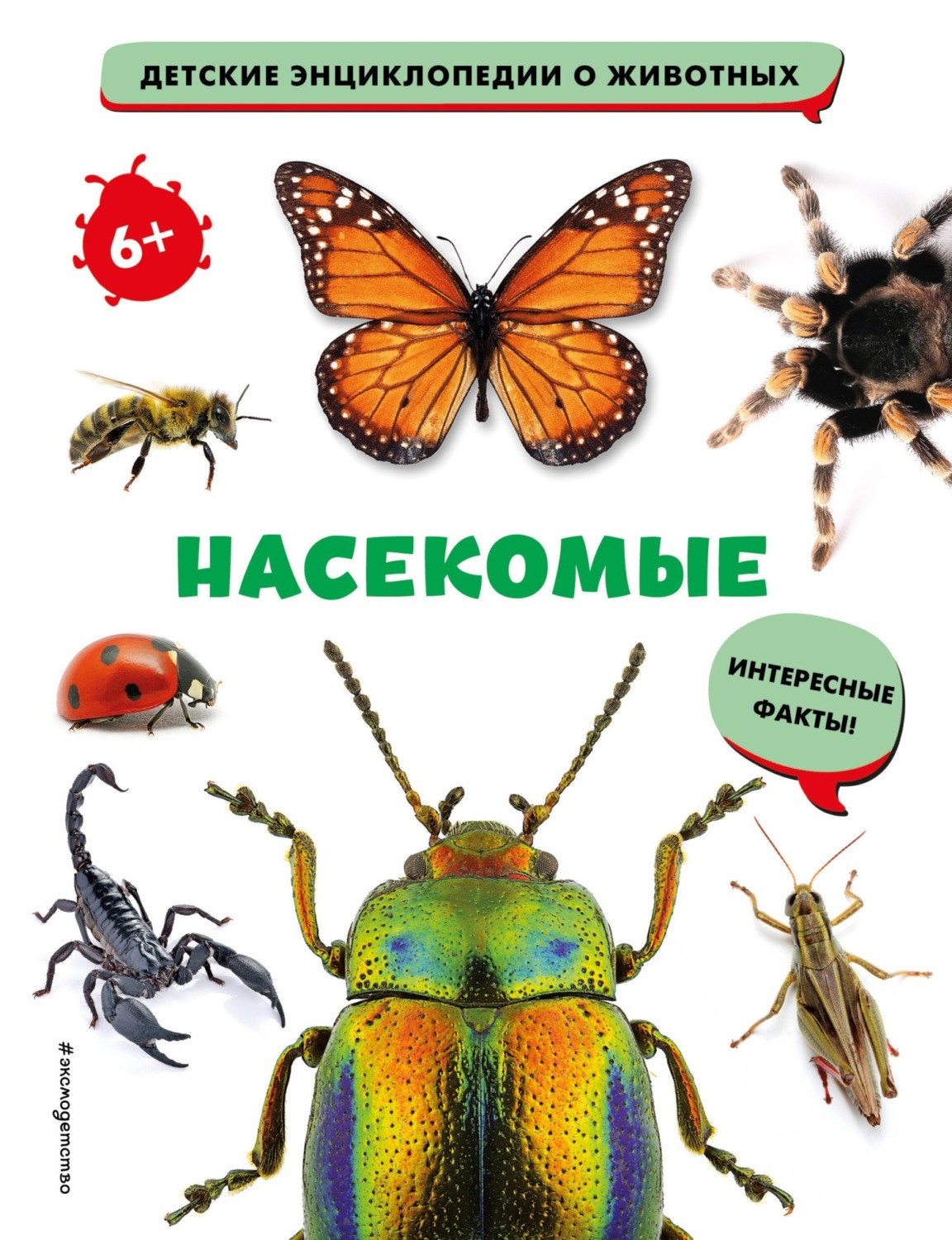 Обложка книги «Насекомые»