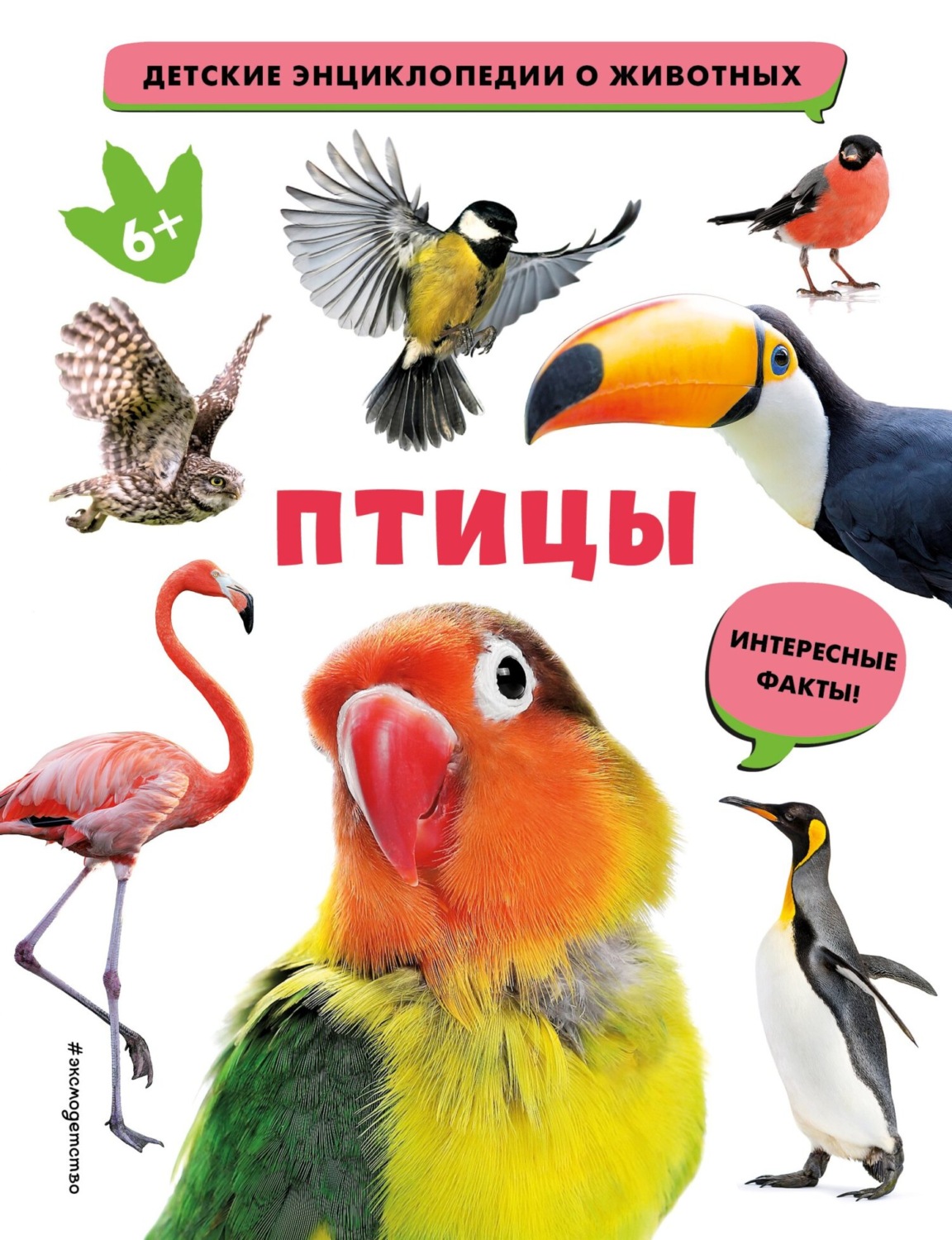 Обложка книги «Птицы»