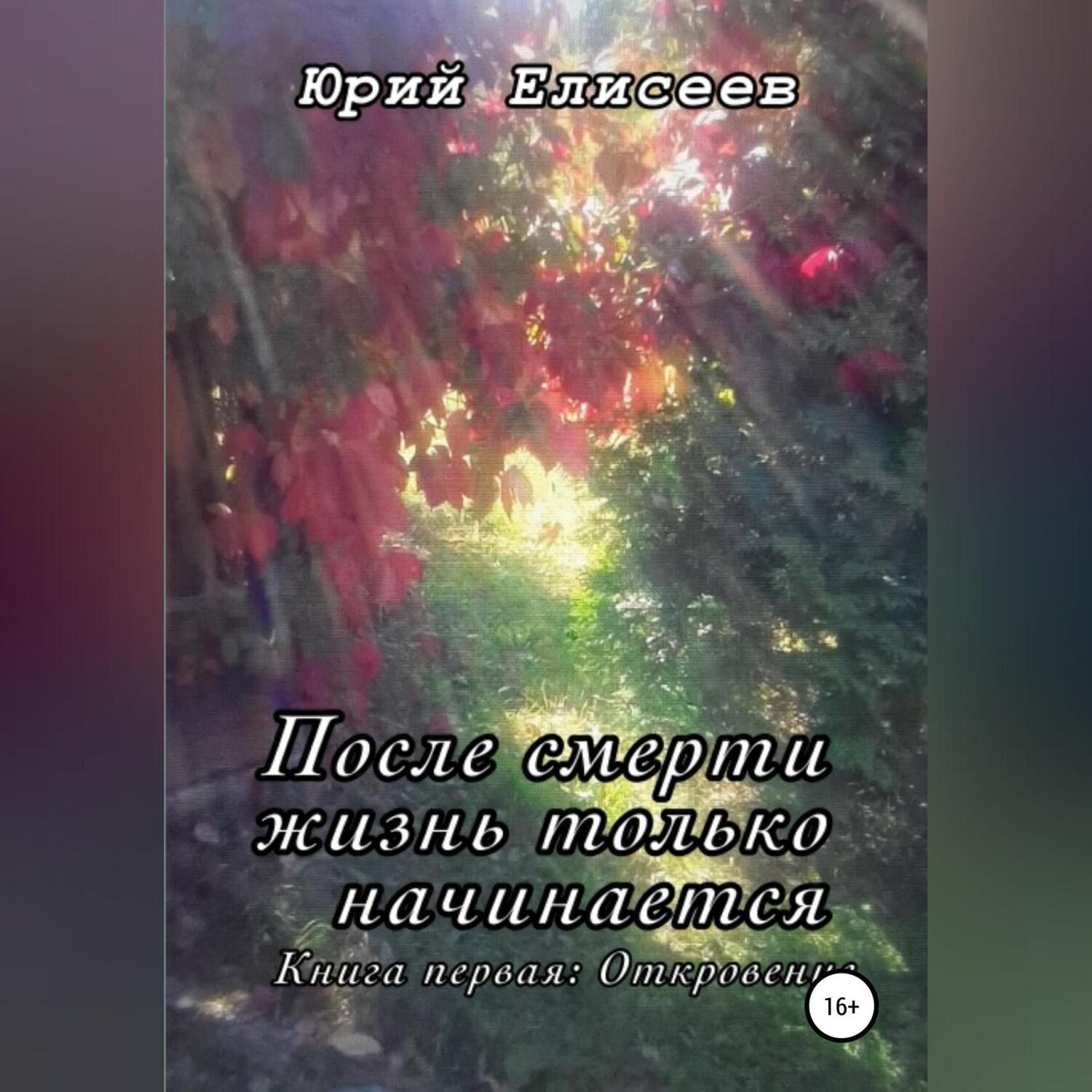Обложка книги «После смерти жизнь только начинается. Откровение»