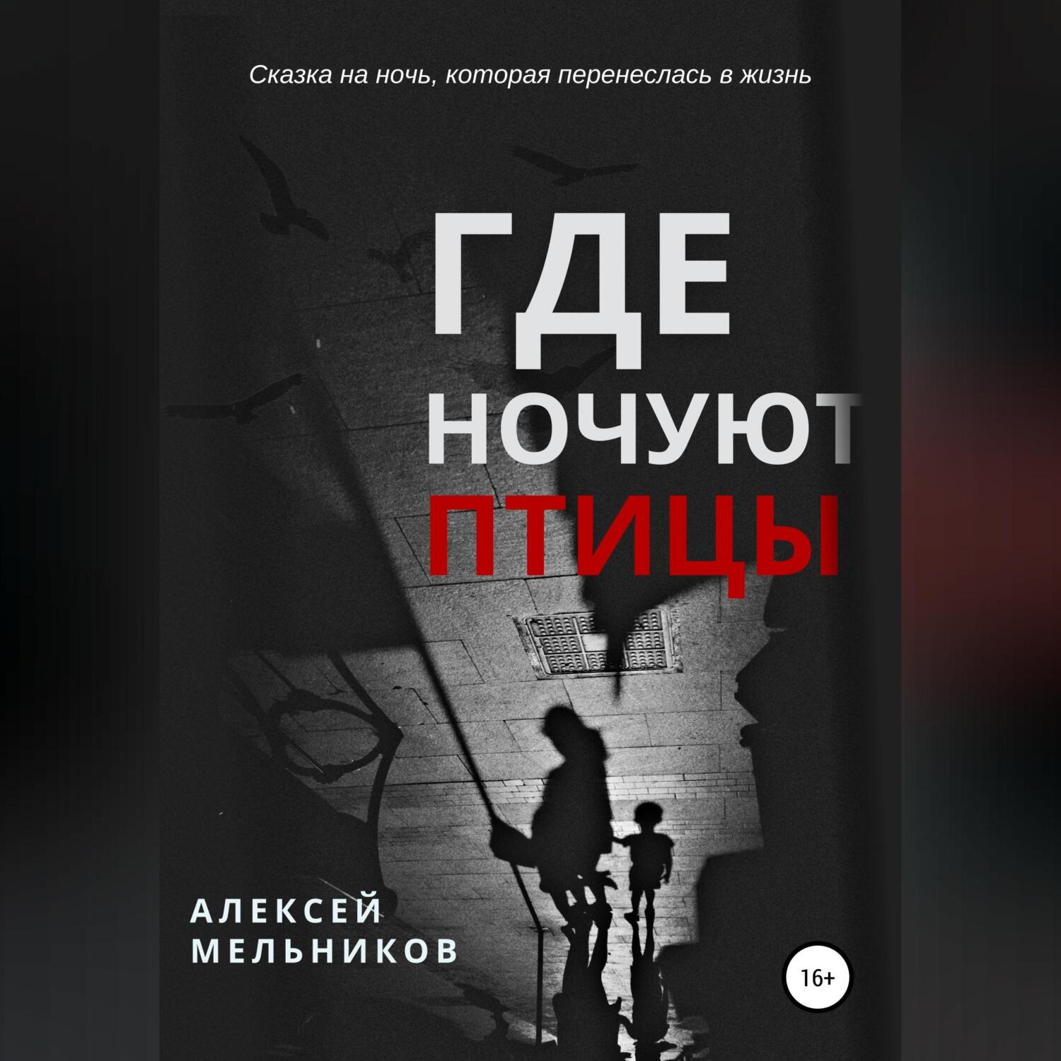 Обложка книги «Где ночуют птицы»