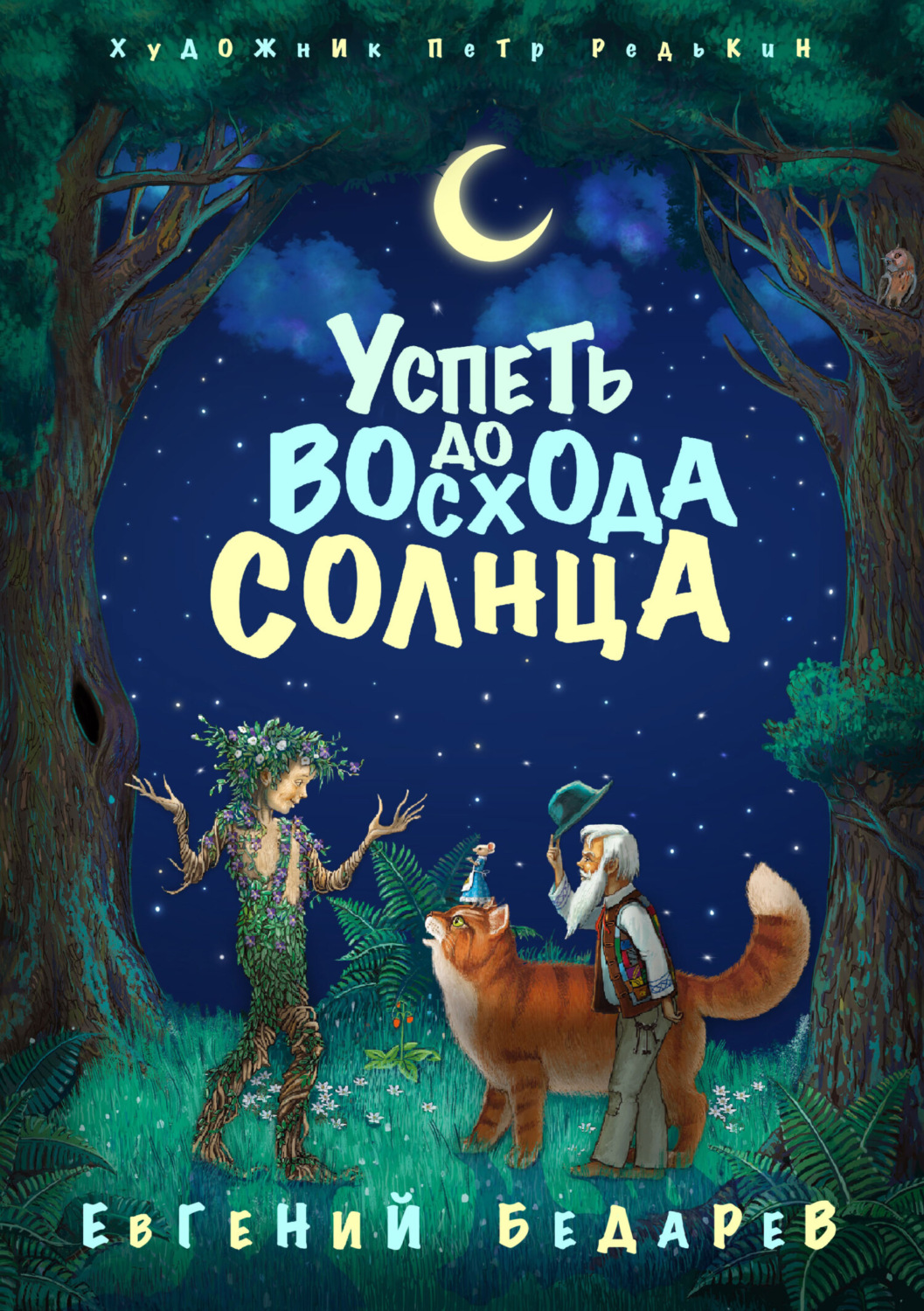 Обложка книги «Успеть до восхода солнца»