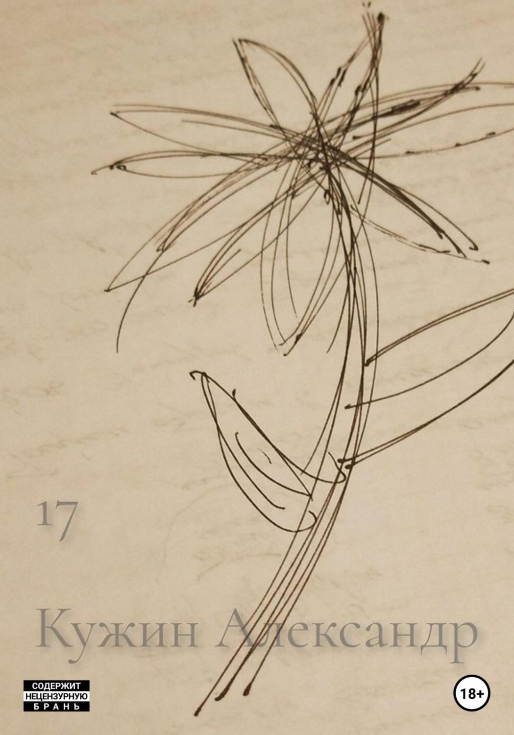 Обложка книги «17»