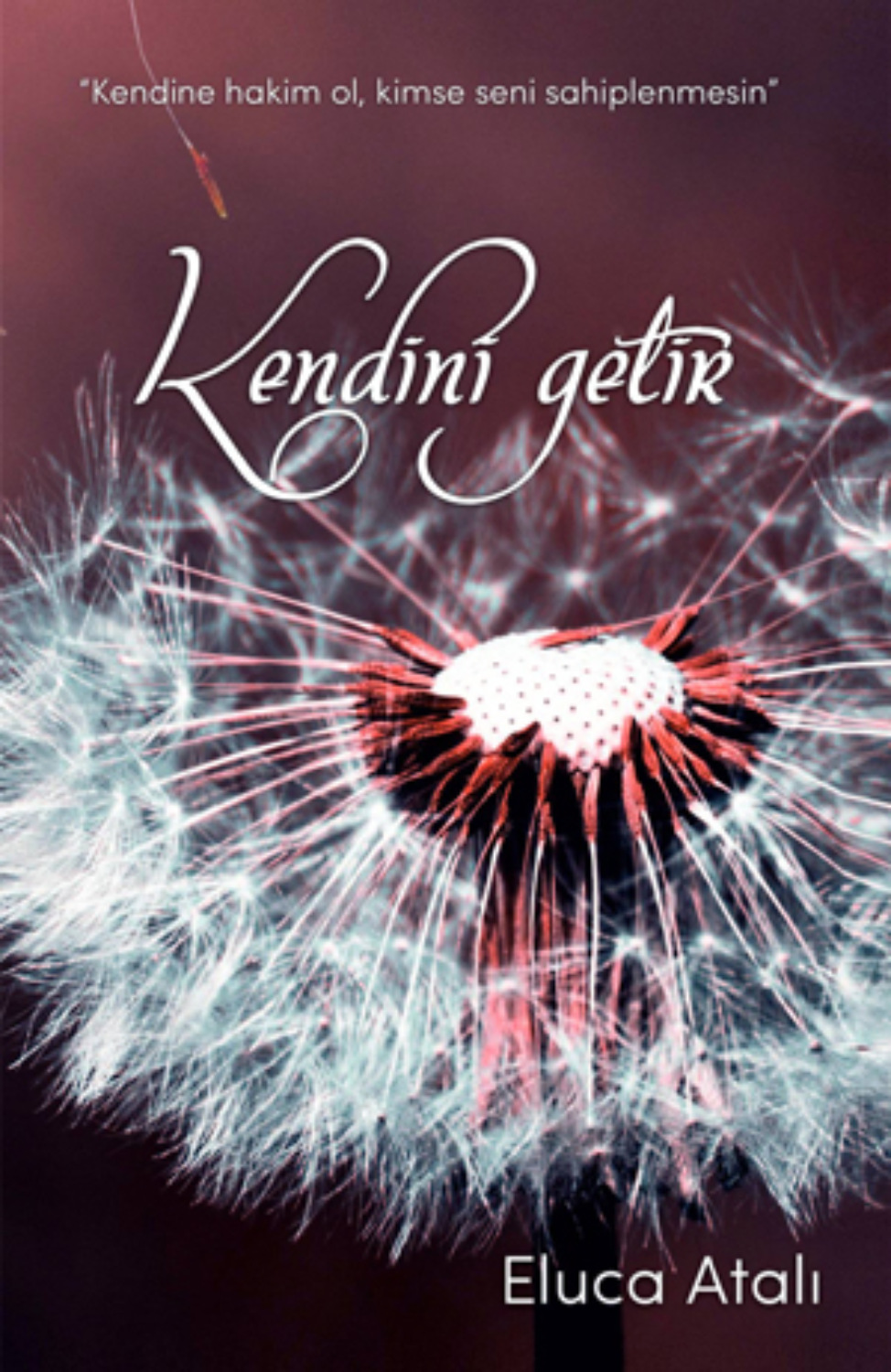 Обложка книги «KENDİNİ GETİR»