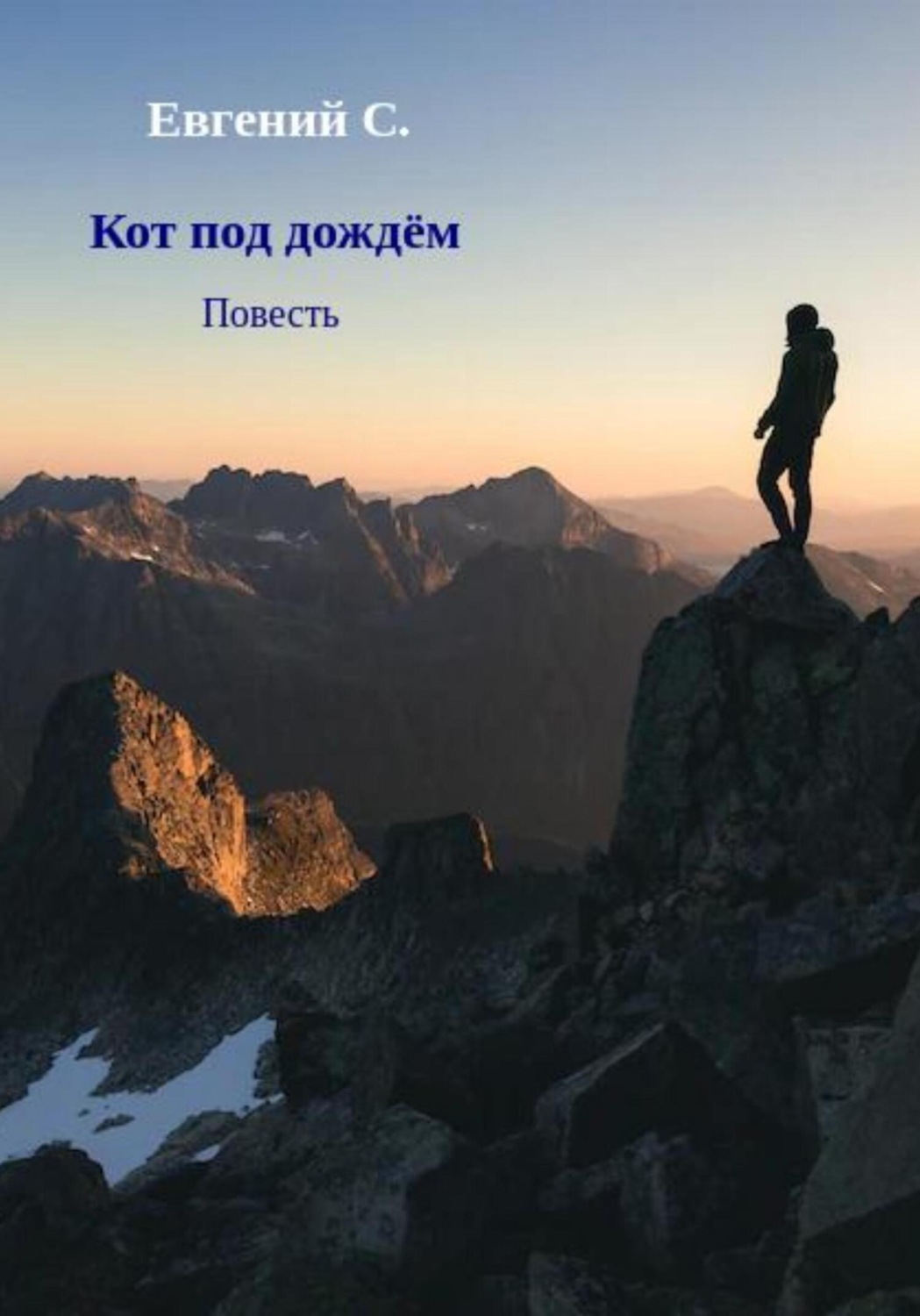 Обложка книги «Кот под дождём»