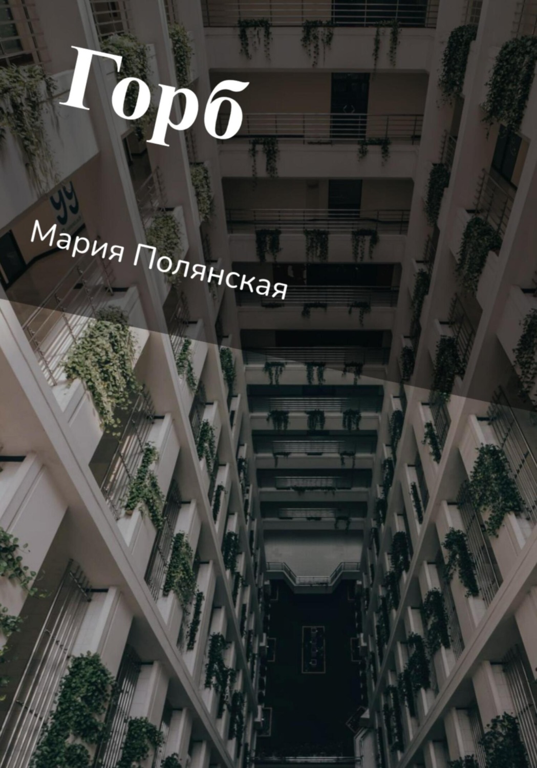 Обложка книги «Горб»