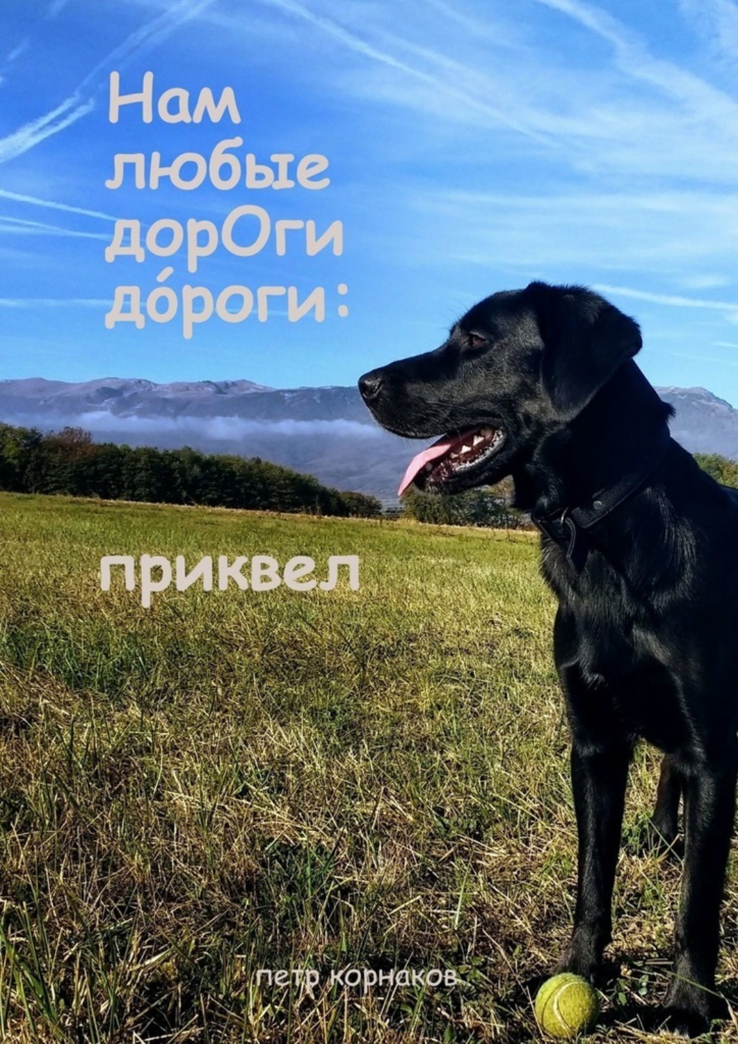 Обложка книги «Нам любые дoрОги дOрoги: приквел»